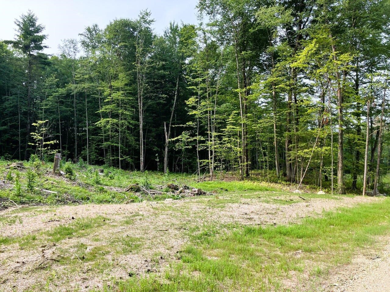 Leicester, Vermont, 05733, United States, ,Land,For Sale,1916983