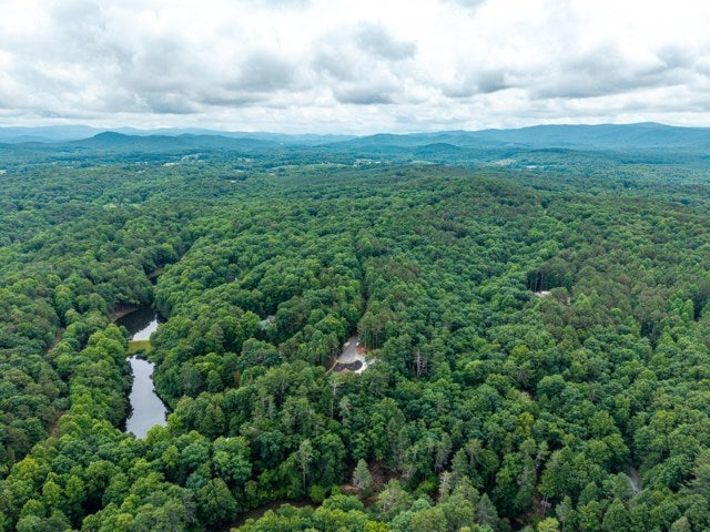 Lake View Ln, Ellijay, GA 30536 #1