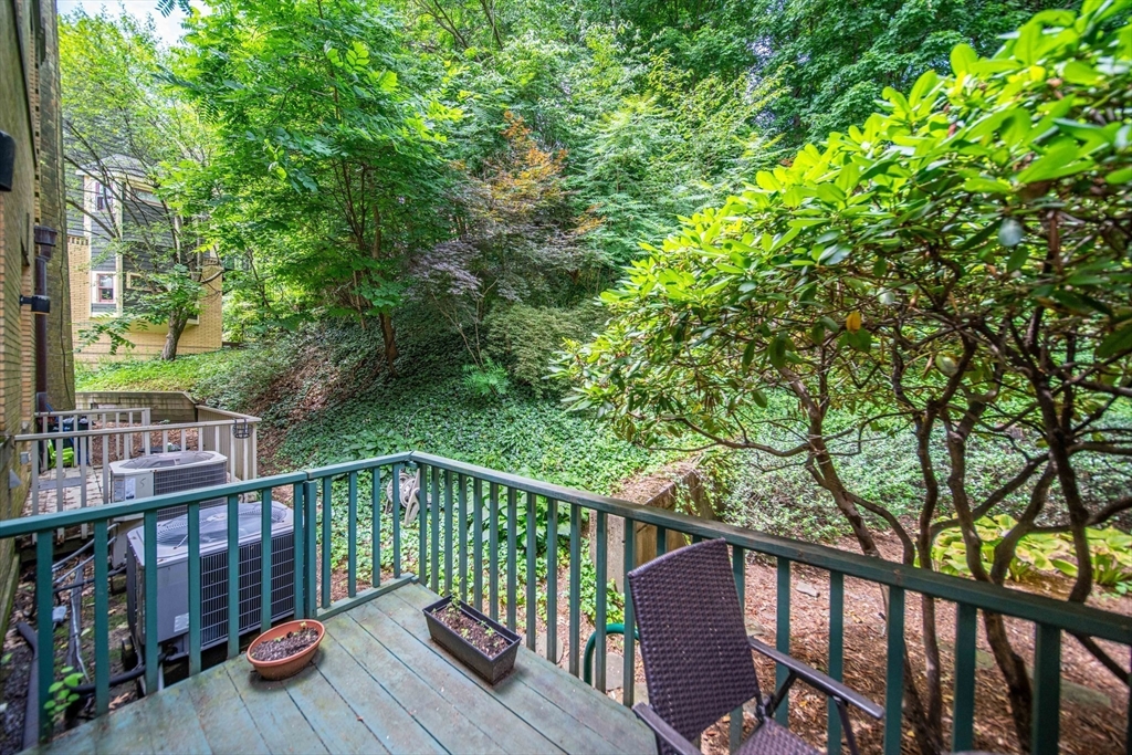 Brookline, Massachusetts, 02445, United States, 3 Bedrooms Bedrooms, ,2 BathroomsBathrooms,Residential,For Sale,1891424