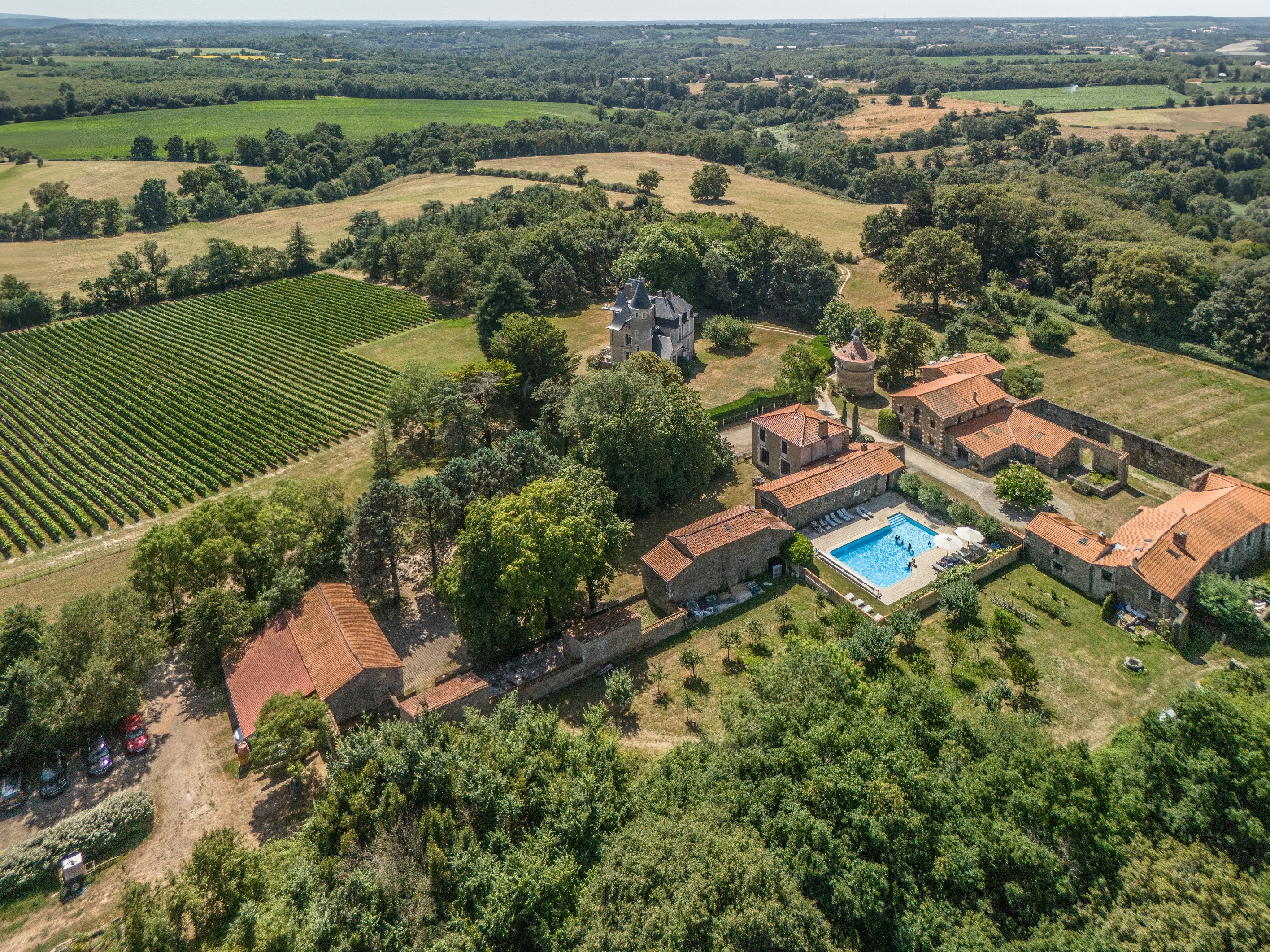  Elegant 19th château with guesthouses and vineyard - 物件實景
