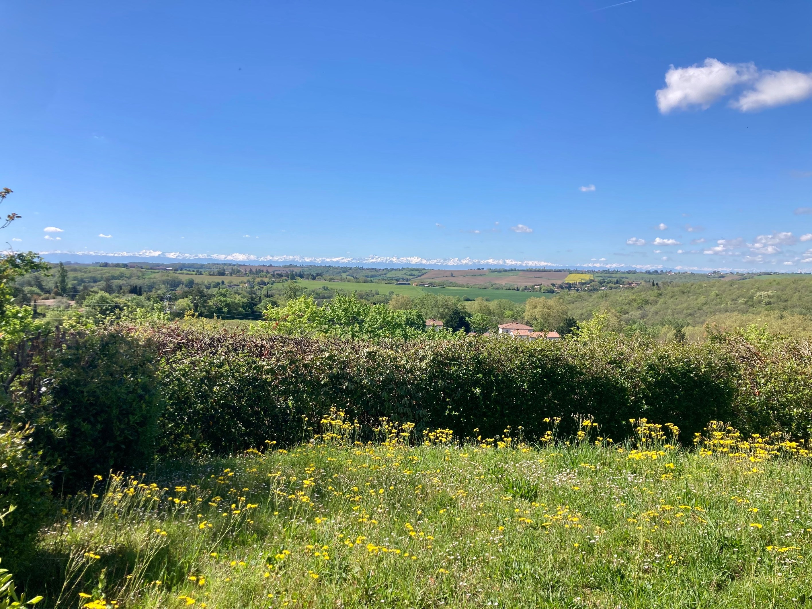  Vigoulet-Auzil – House with views of the Pyrenees. - 物件實景
