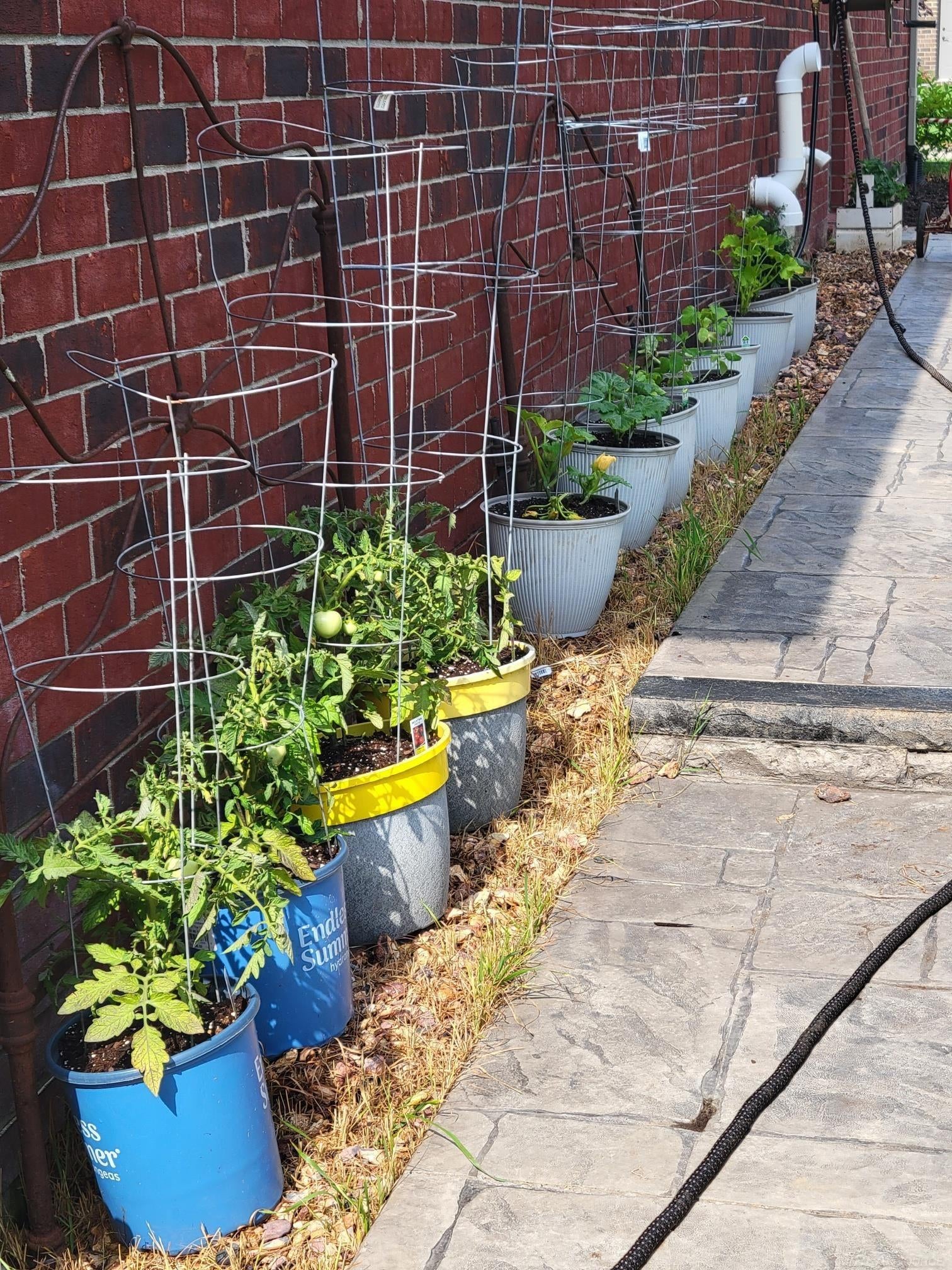 Macomb, Michigan, 48042, United States, 3 Bedrooms Bedrooms, ,3 BathroomsBathrooms,Residential,For Sale,2002873