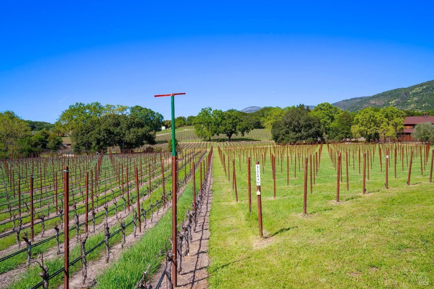 Napa, California, 94558, United States, 4 Bedrooms Bedrooms, ,2 BathroomsBathrooms,Residential,For Sale,1793717