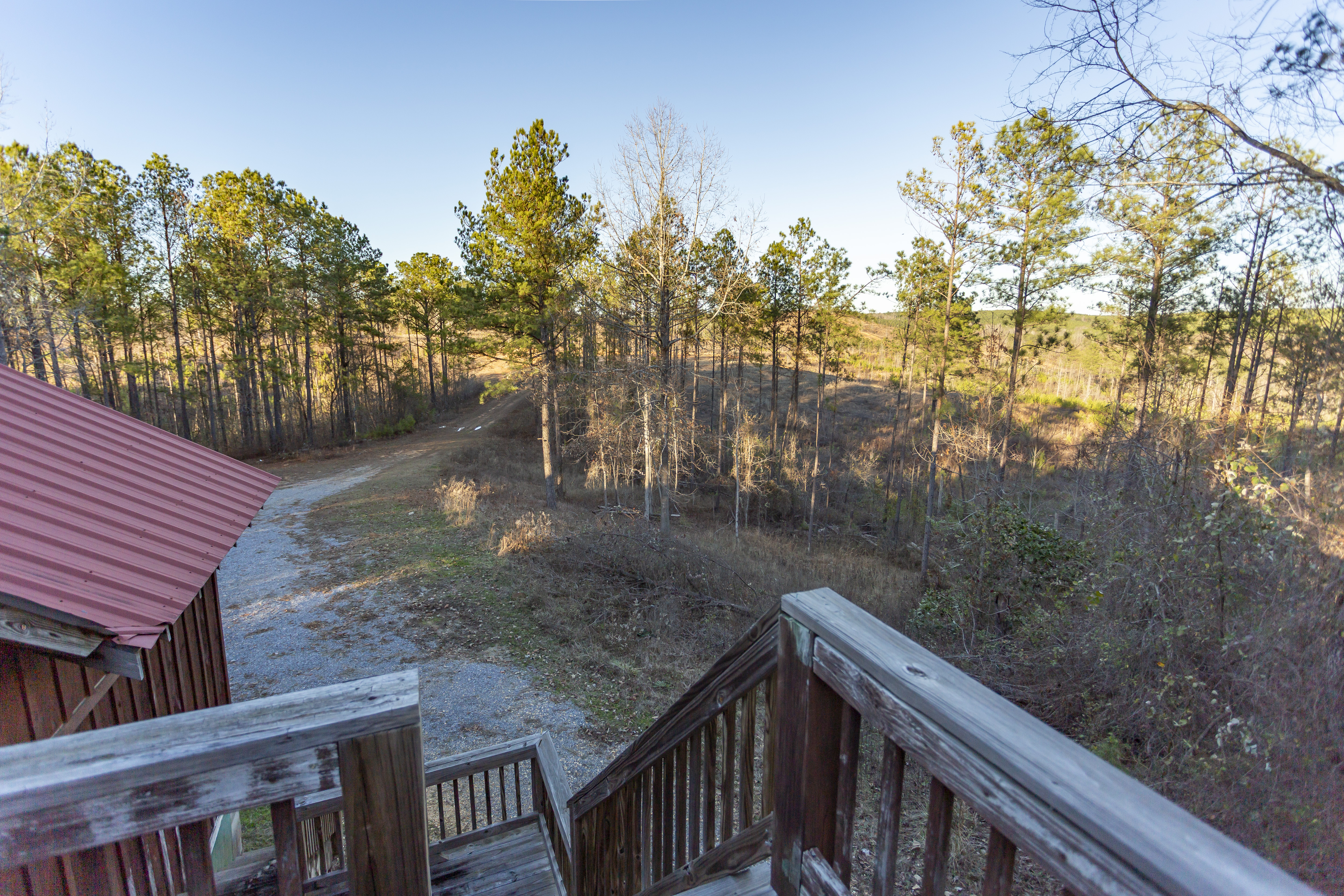 Centreville, Alabama, 35042, United States, ,Land,For Sale,2010430