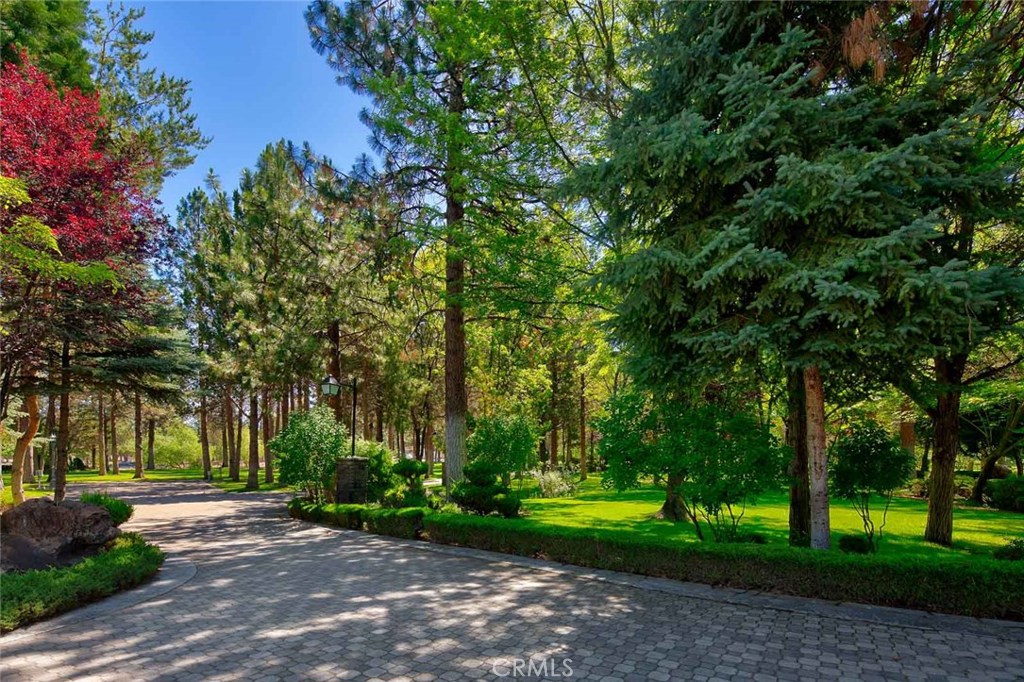 15733 Juniper Peak Road, Weed, California, 96094, United States, 5 Bedrooms Bedrooms, ,7 BathroomsBathrooms,Residential,For Sale,15733 Juniper Peak Road,1644367
