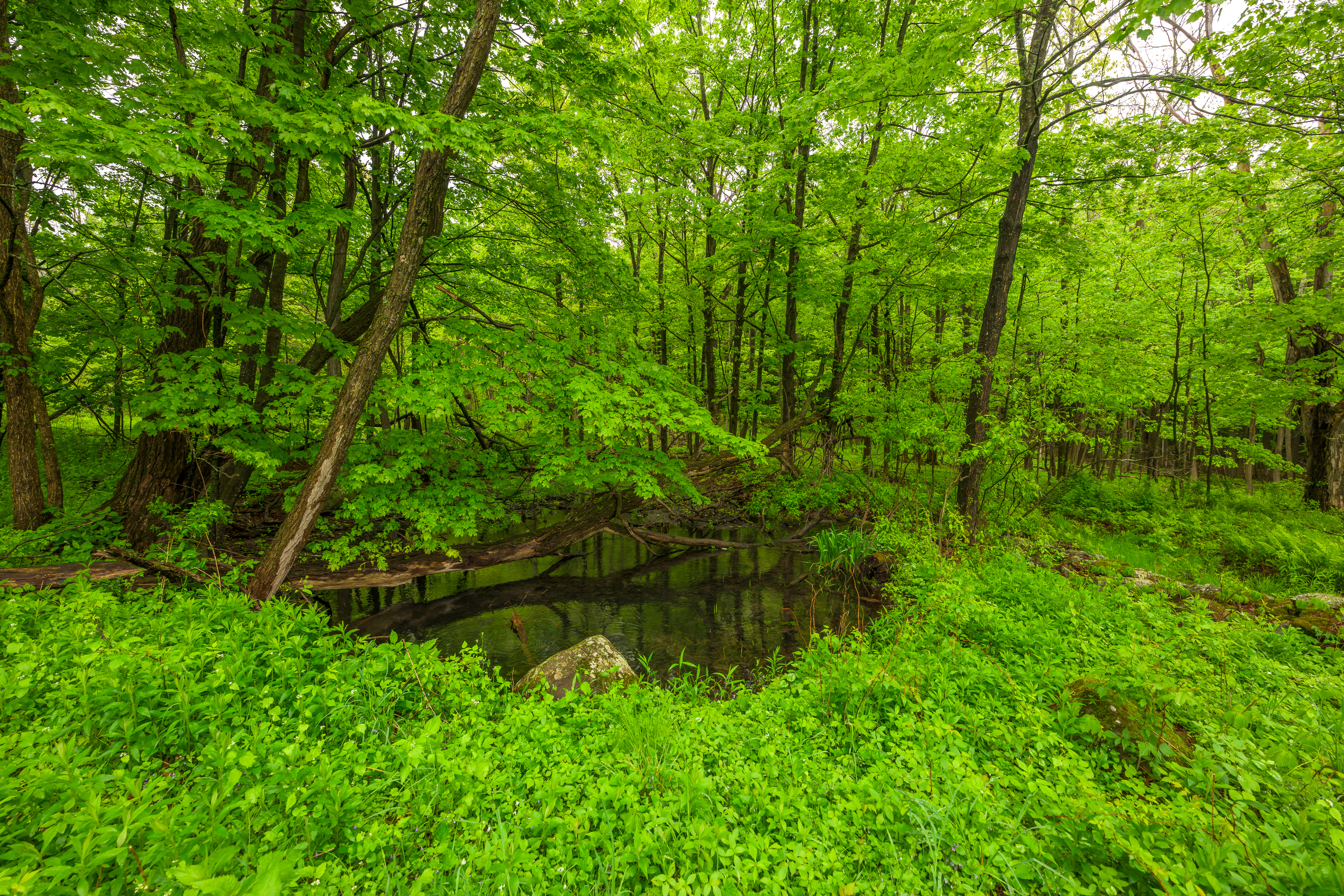  Historic Rensselaerville Federal - 物件實景