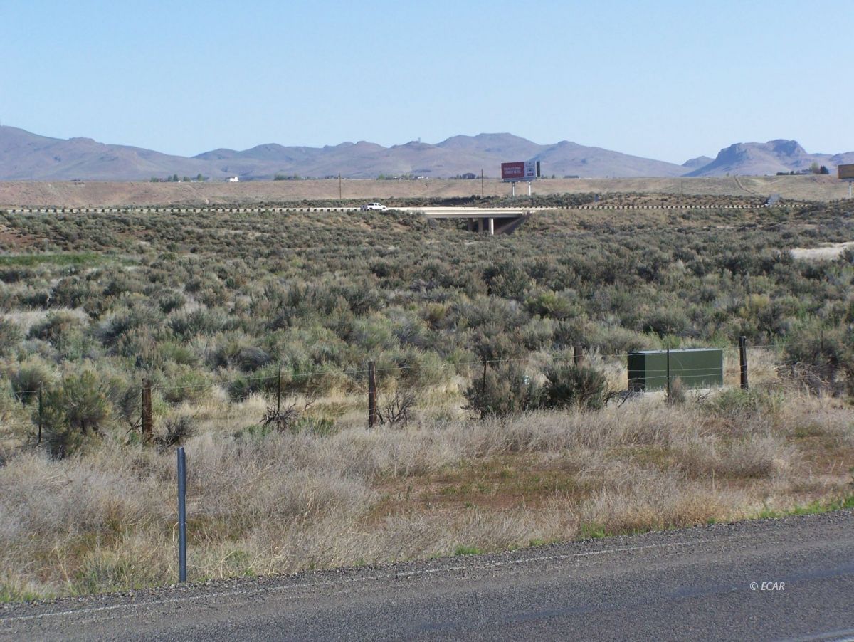Elko, Nevada, 89801, United States, ,Land,For Sale,1838764