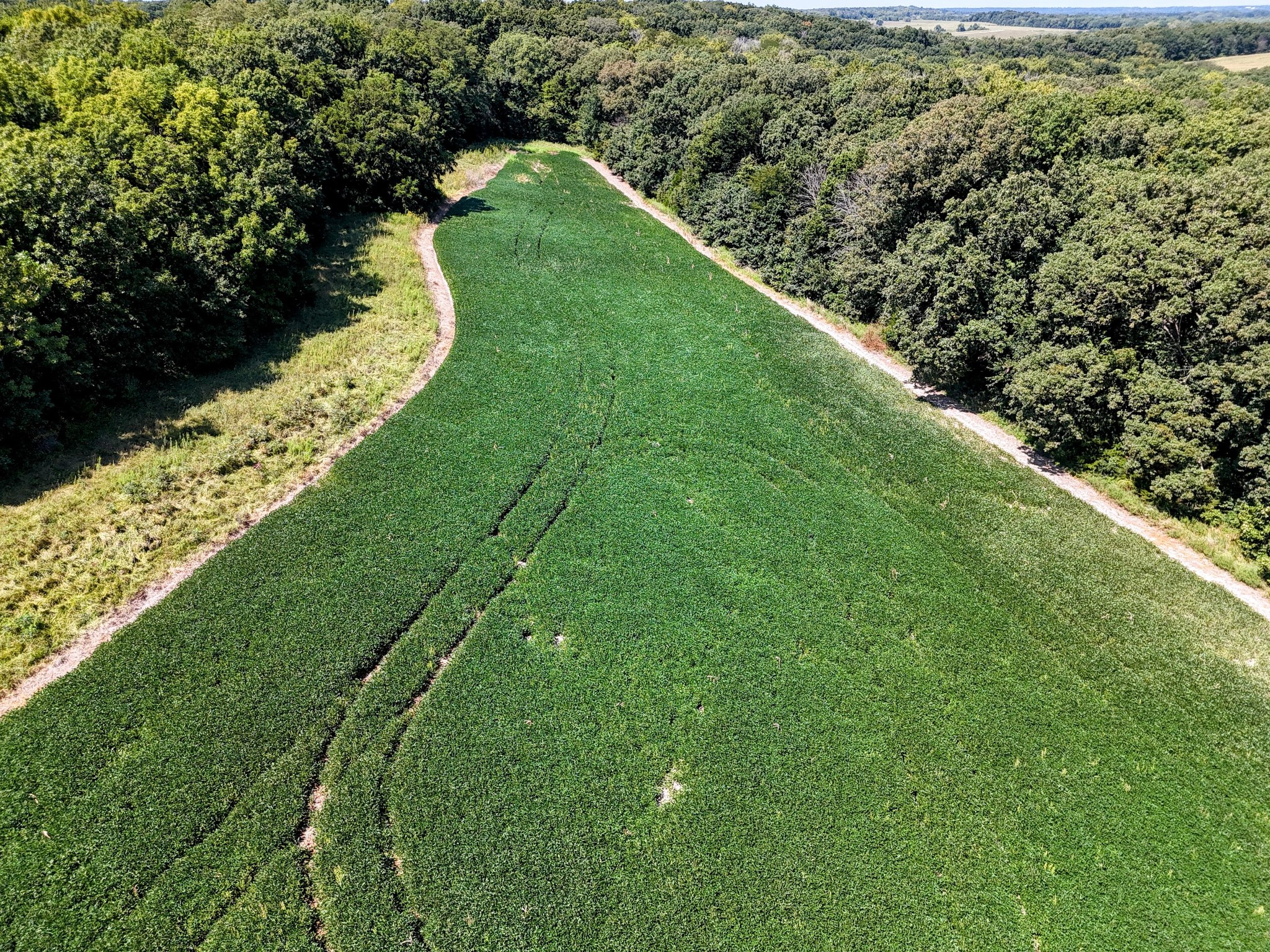 Monroe City, Missouri, 63456, United States, ,Land,For Sale,1980469