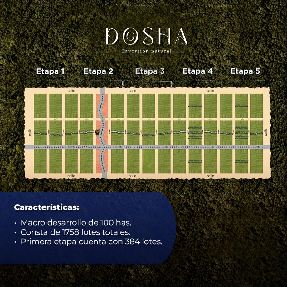 Mérida, Yucatán, 97000, Mexico, 1 Bedroom Bedrooms, ,Residential,For Sale,1957867