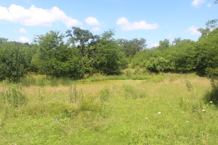 Polk, Missouri, 65727, United States, ,Land,For Sale,1980569