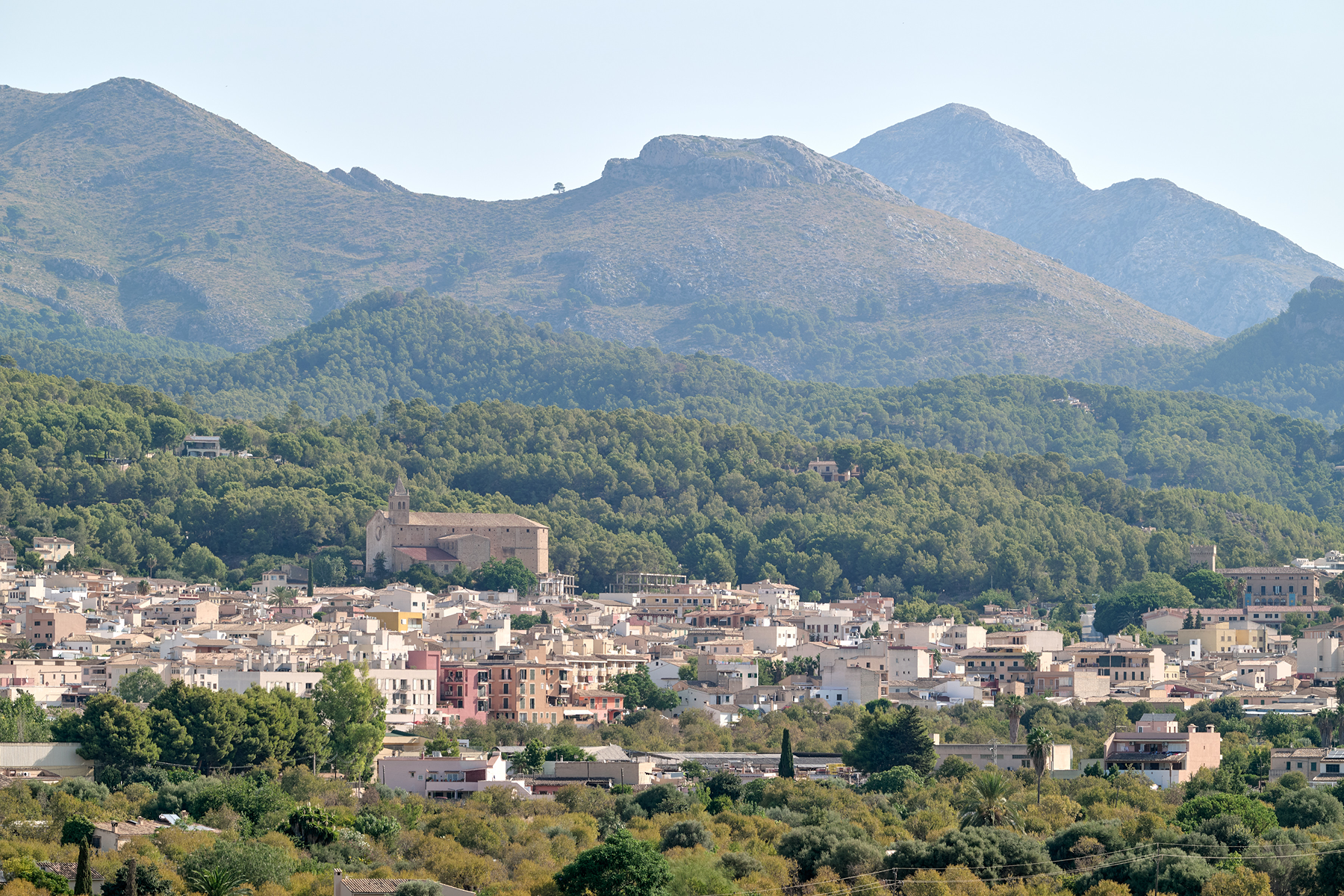  Country Estate with Equestrian Facilities in Port Andratx - 物件實景
