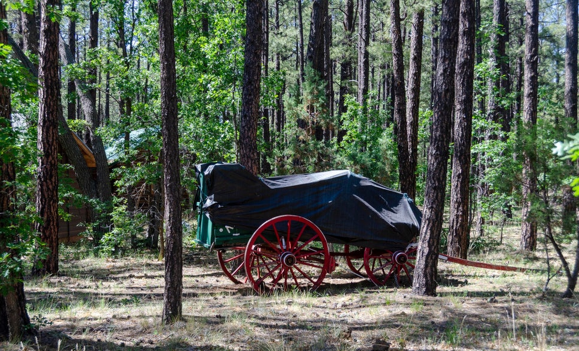  2651 East Chilton Drive  Pinetop, AZ - 物件實景