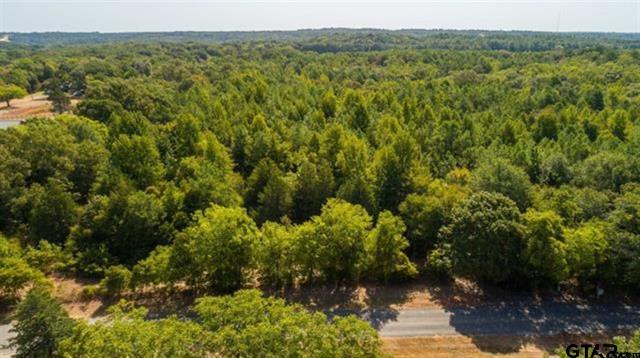 Lindale, Texas, 75771, United States, ,Land,For Sale,1982937