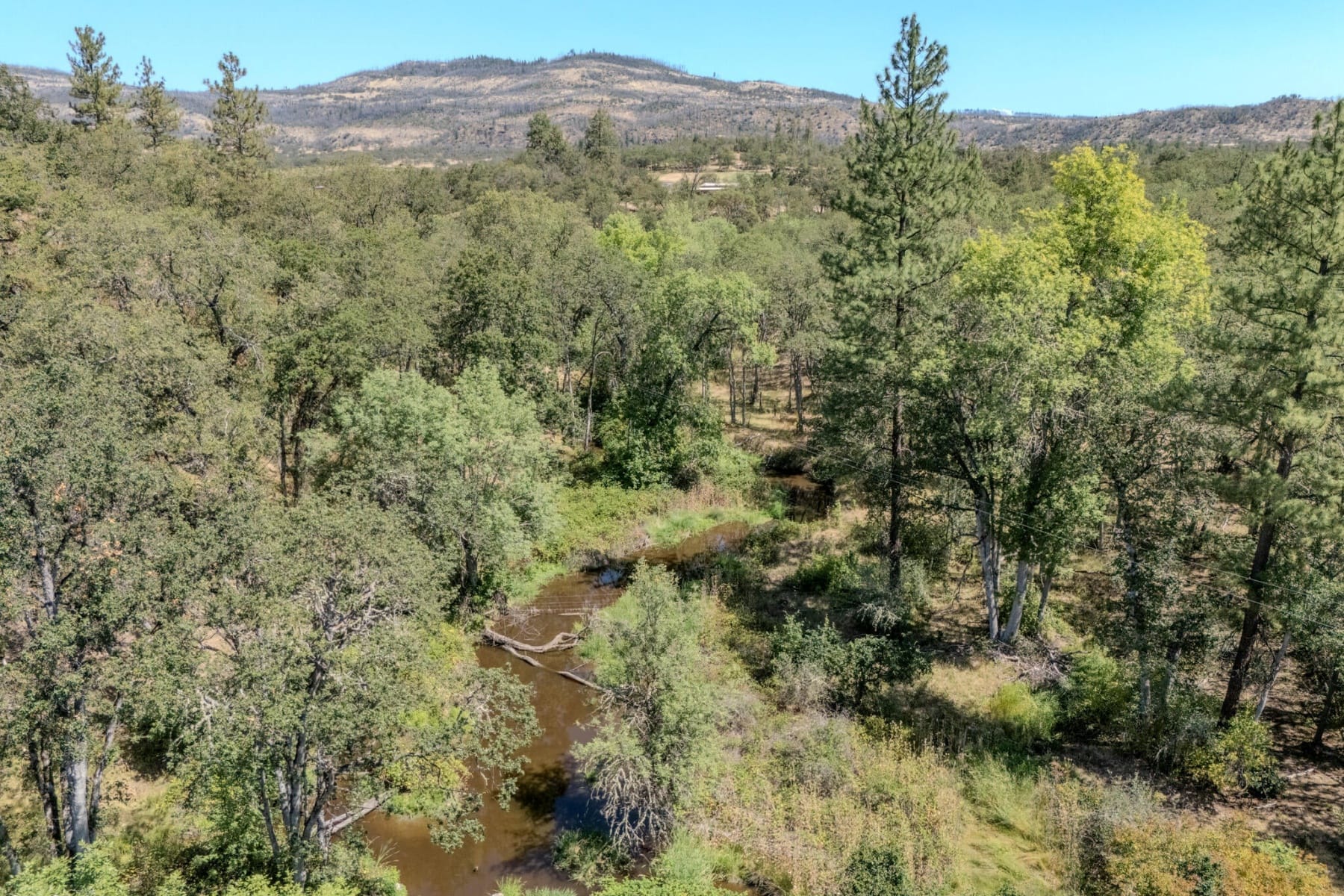  688 Worthington Road Eagle Point, OR 97524 - 物件實景