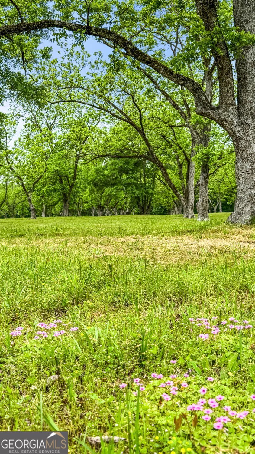 Milner, Georgia, 30257, United States, ,Land,For Sale,1859026