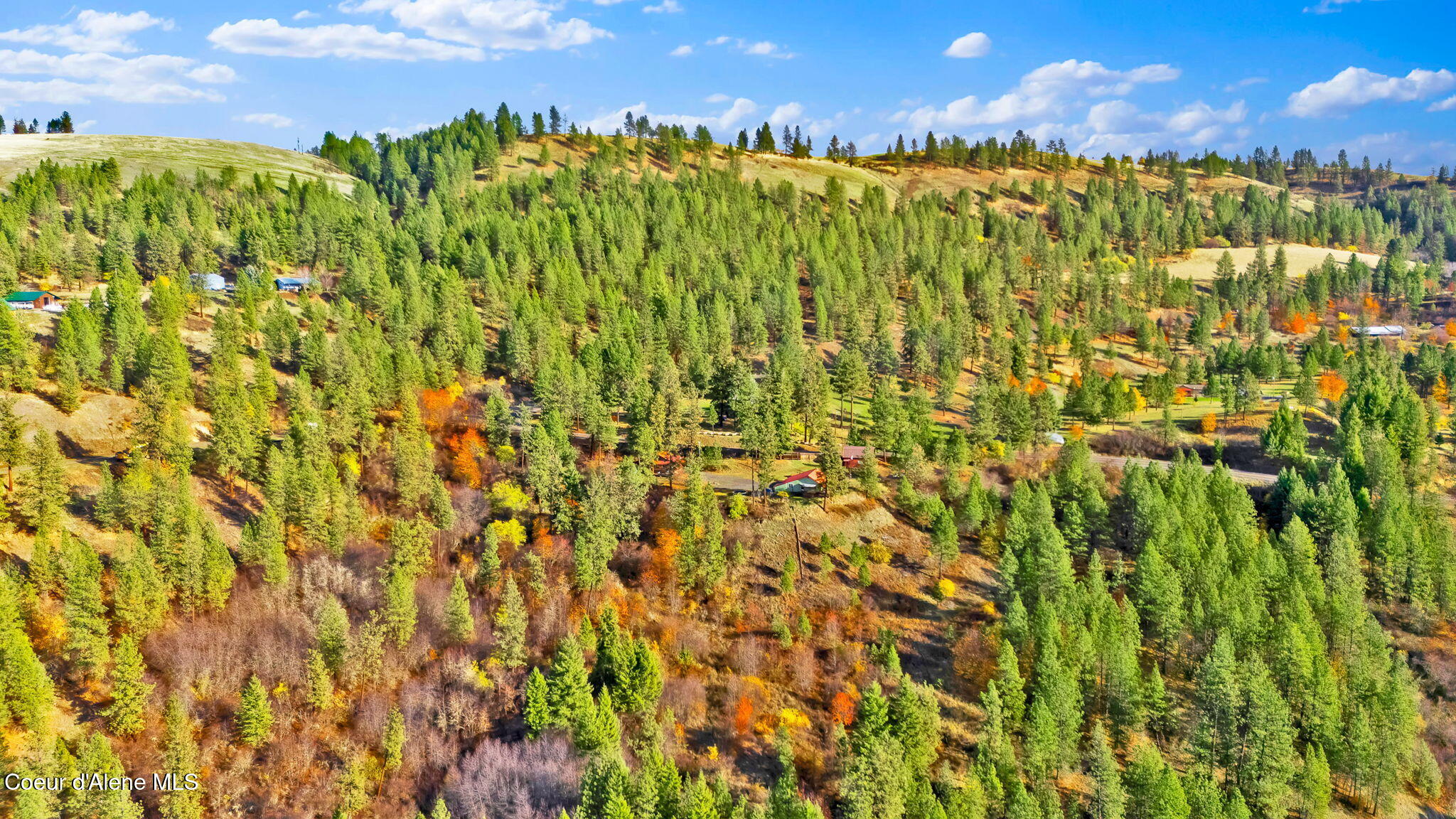 Orofino, Idaho, 83544, United States, 4 Bedrooms Bedrooms, ,Residential,For Sale,1991017