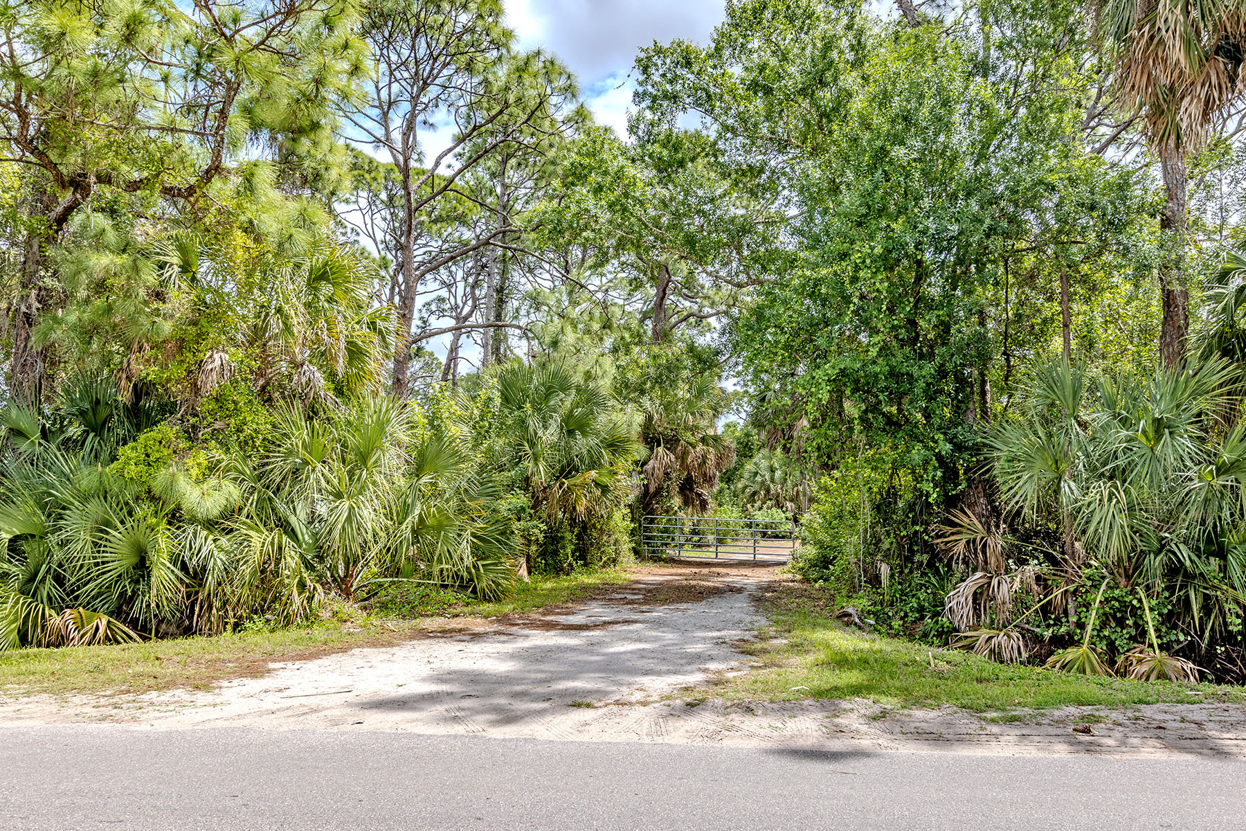  VENICE FARMS - 物件實景