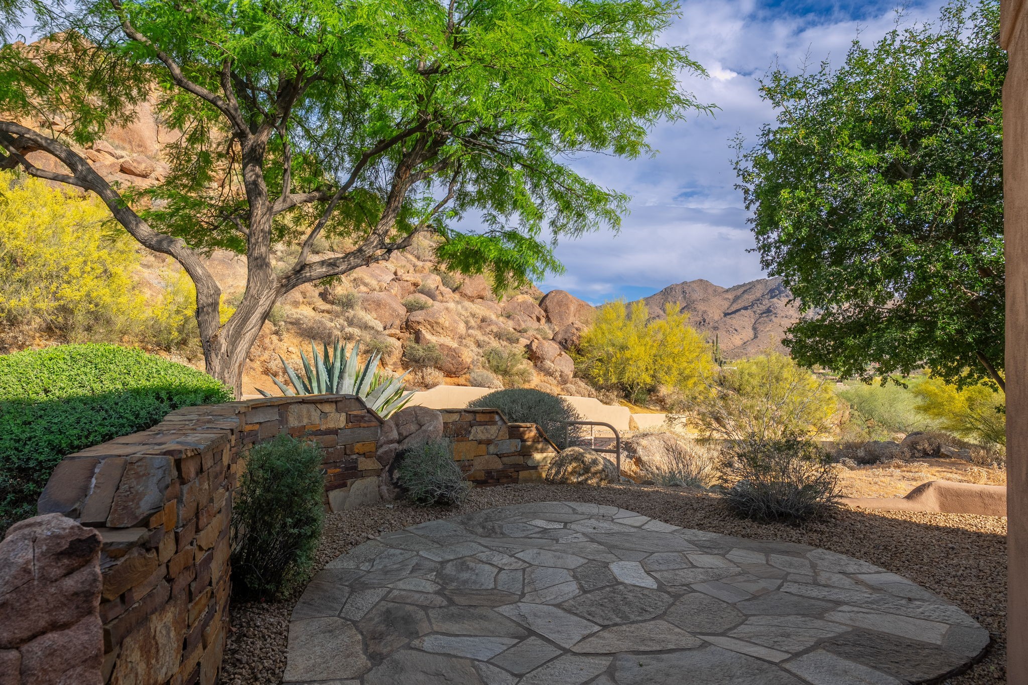  24598 N 111th Place  Scottsdale, AZ - 物件實景