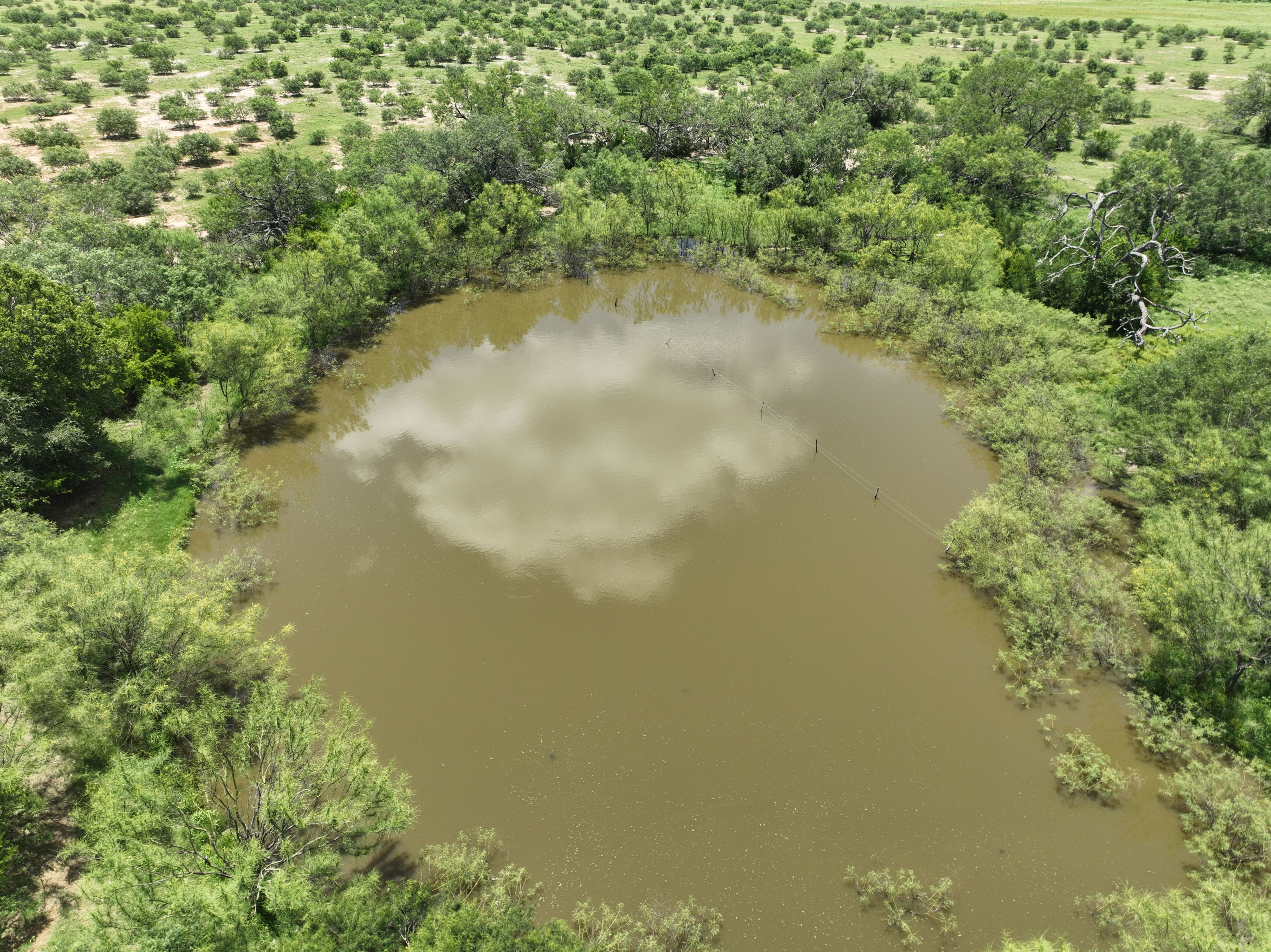  87.69+/- Acres in Bexar County - 物件實景