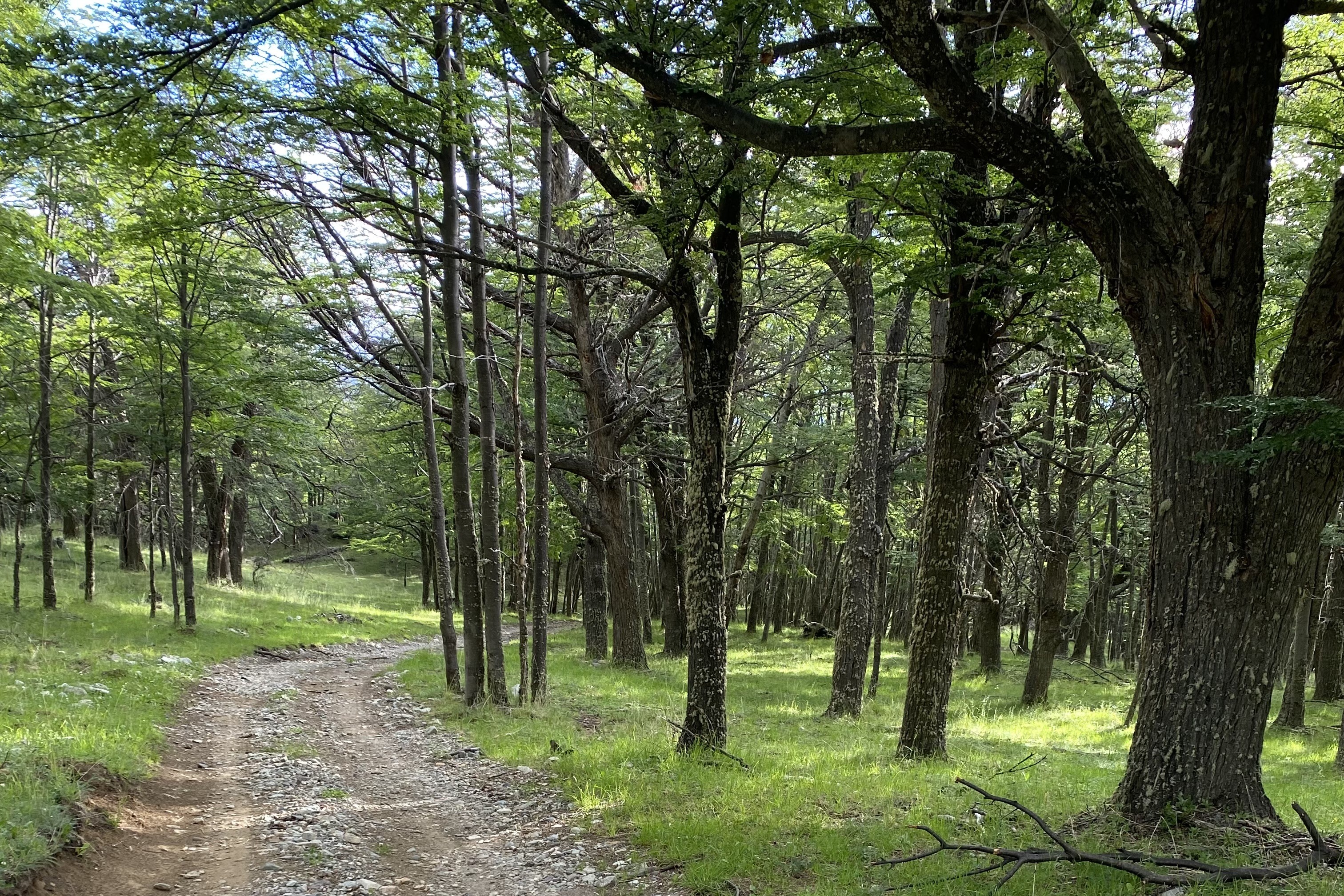  50-Hectare Property Adjacent to Cerro Castillo with 1.3 km of Waterfront - 物件實景