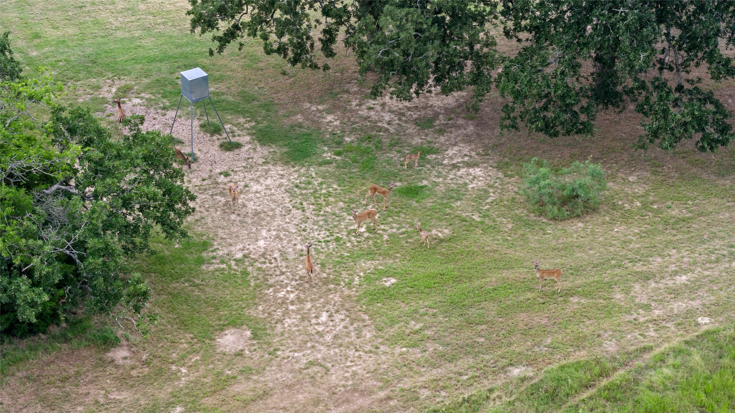 Bryan, Texas, 77808, United States, 3 Bedrooms Bedrooms, ,3 BathroomsBathrooms,Residential,For Sale,1986317