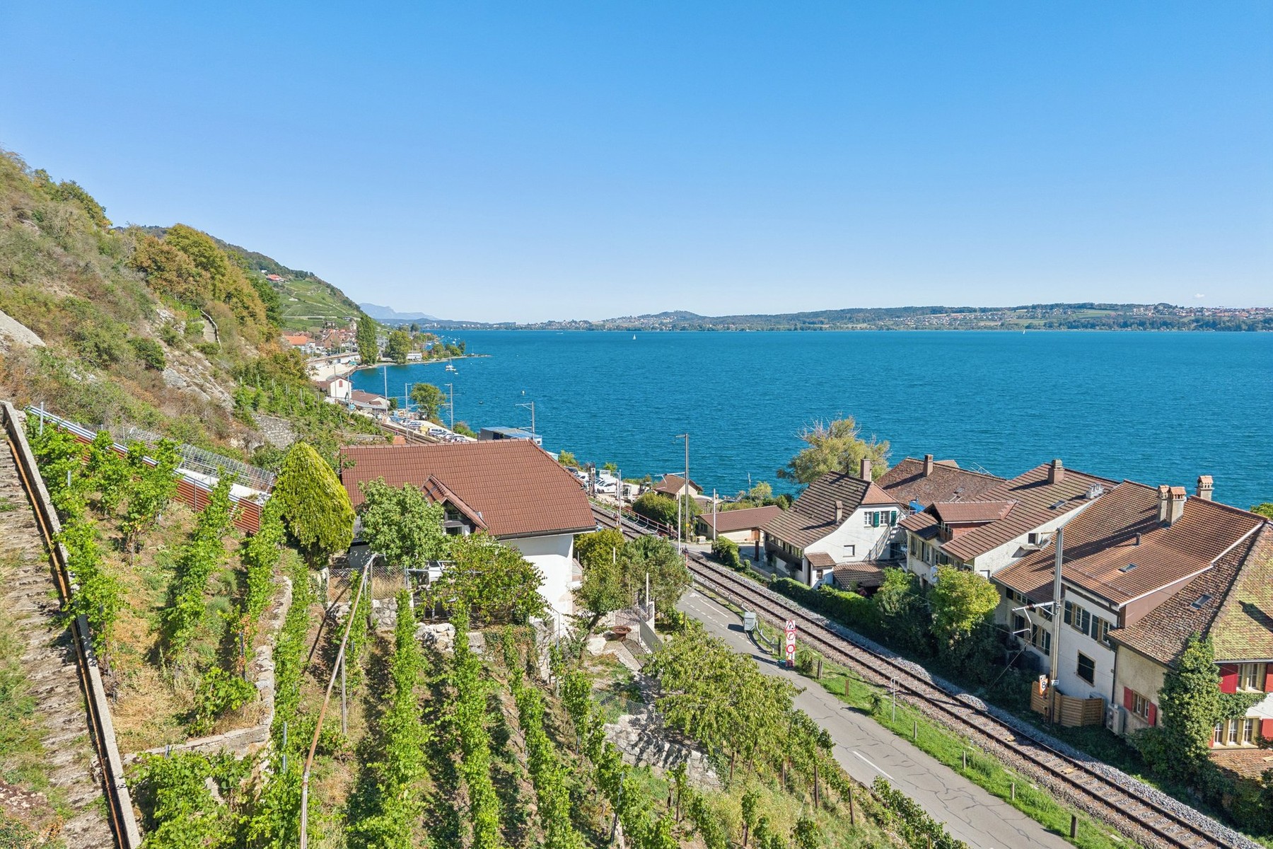  PURE VINES & THE HISTORY OF WINE-MAKING ON THE SHORES OF LAKE BIEL - 物件實景