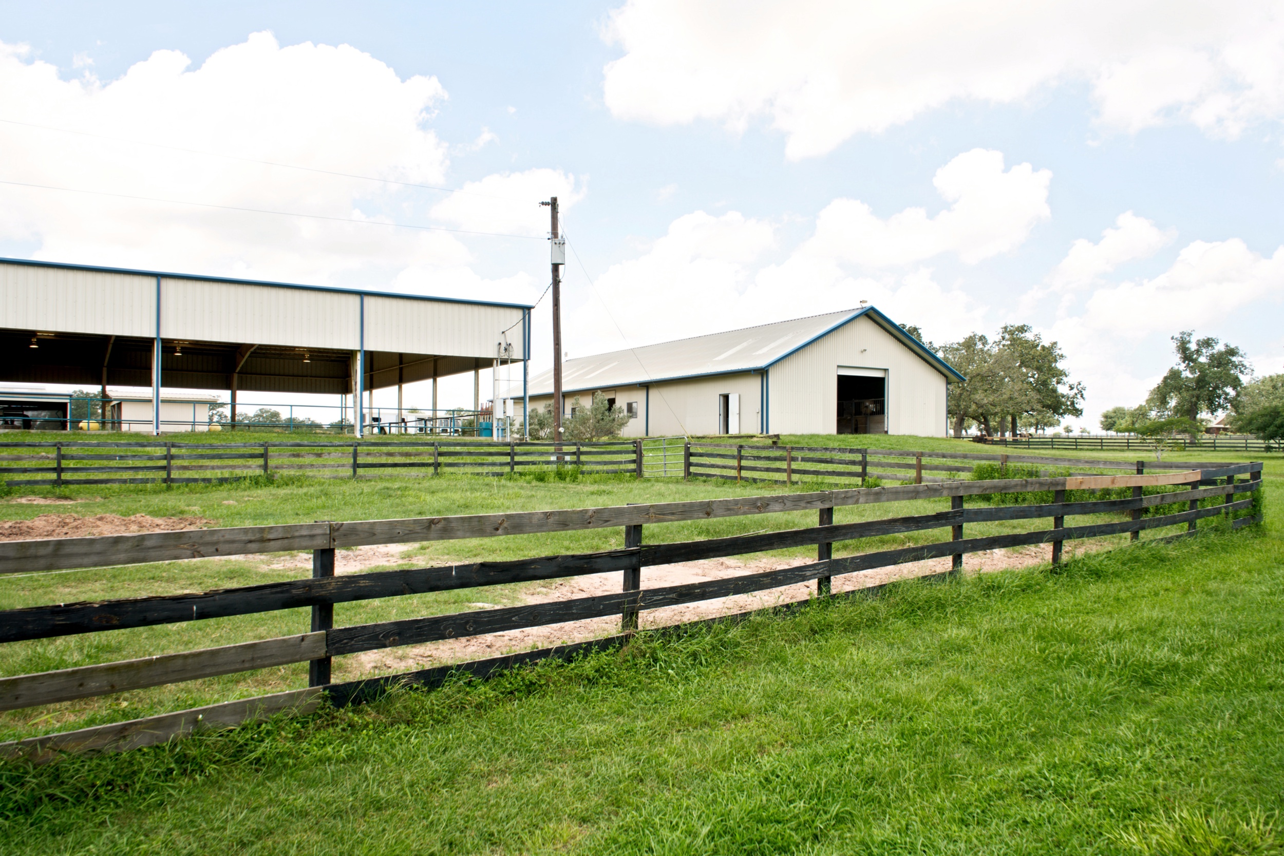  76.77 Acres, Colorado County, Weimer, TX 78962 - 物件實景
