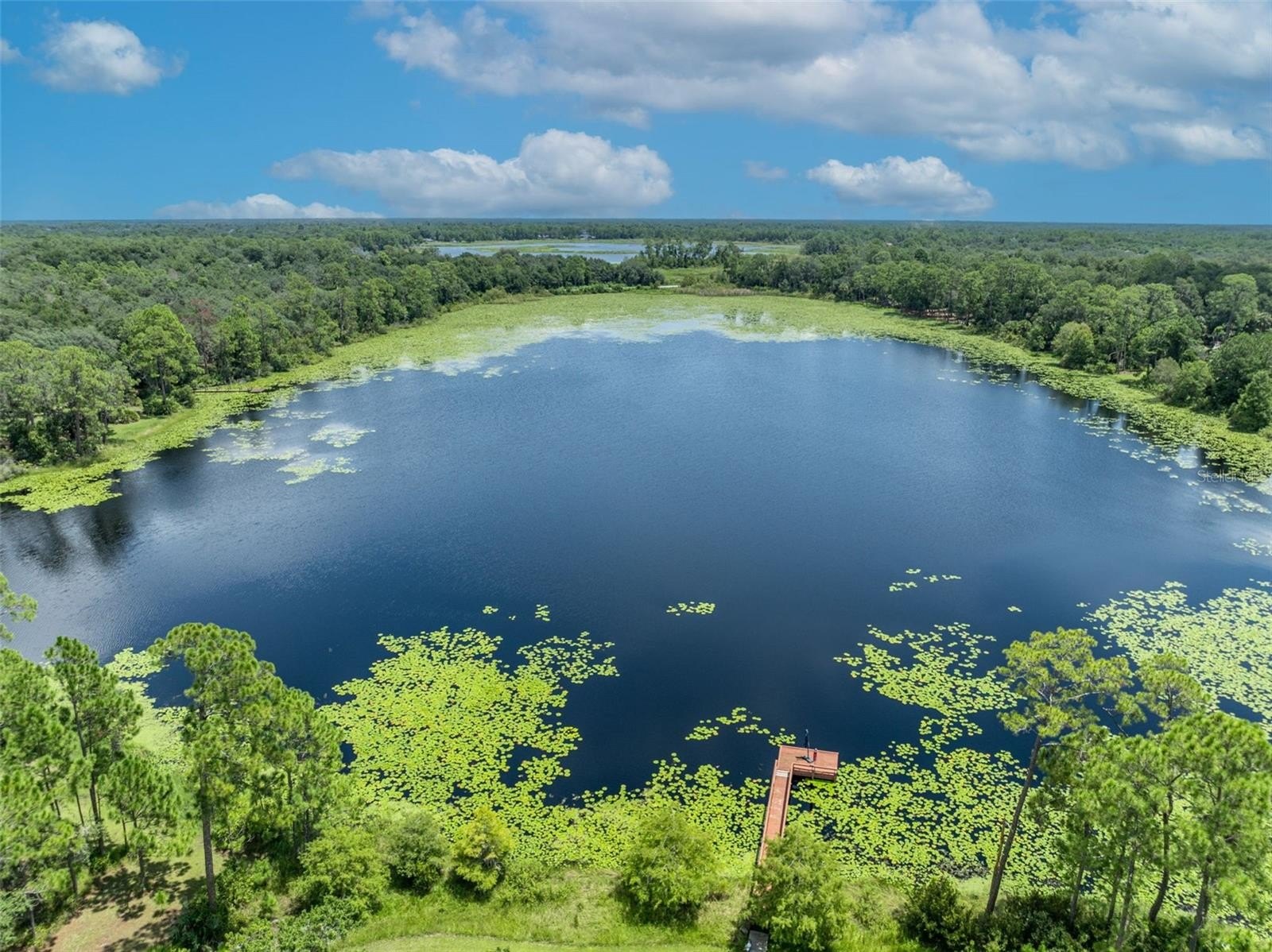 DELTONA, Florida, 32725, United States, 5 Bedrooms Bedrooms, ,3 BathroomsBathrooms,Residential,For Sale,1983219