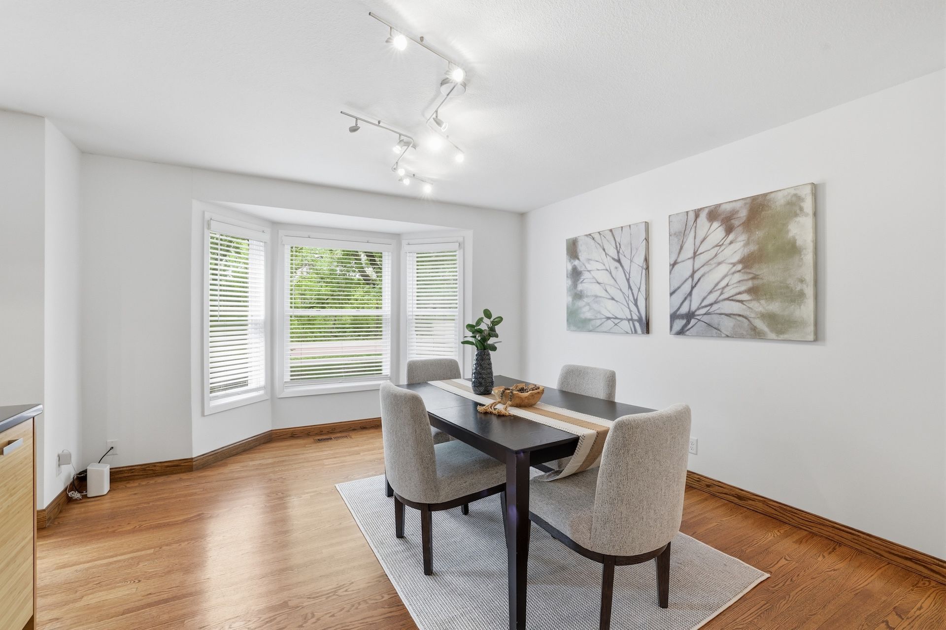  Renovated Townhome with Panoramic Views of Cedar Lake - 物件實景