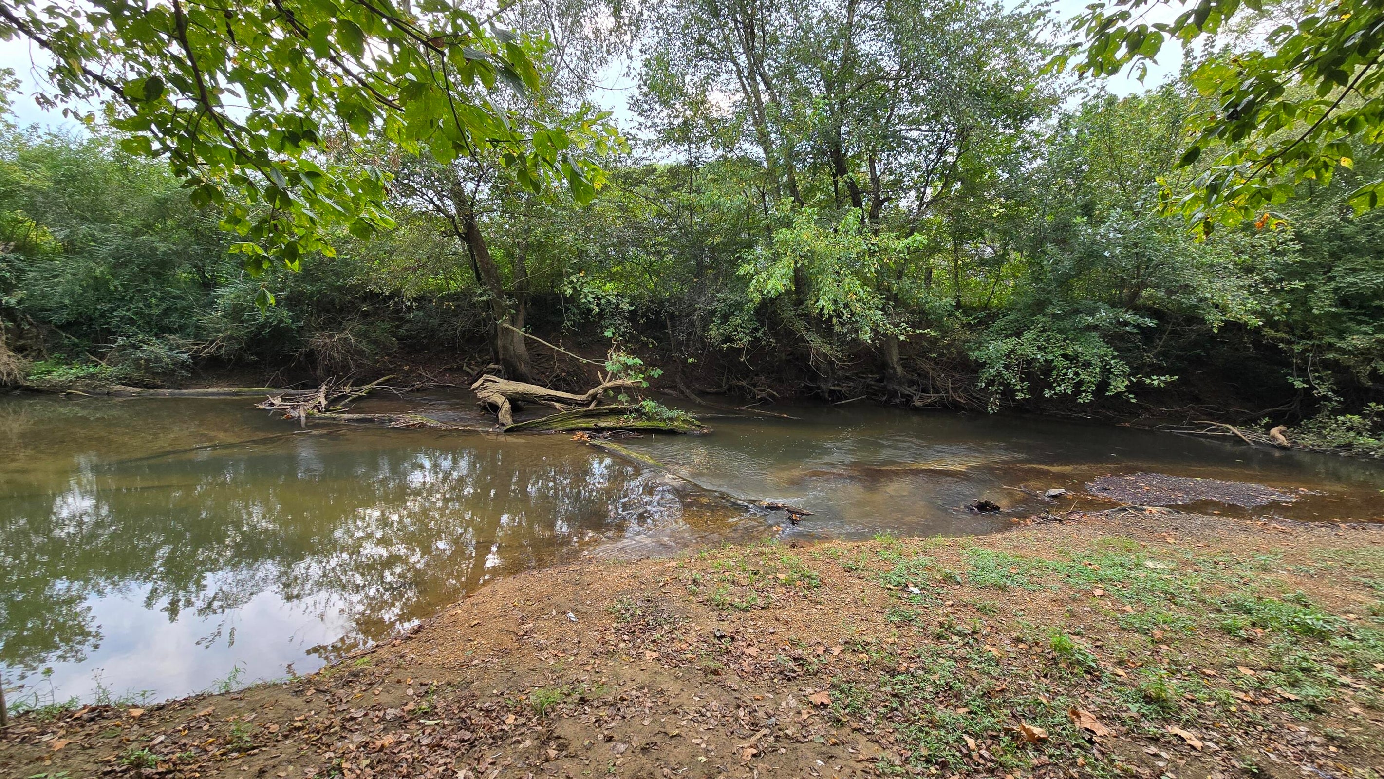 Pikeville, Tennessee, 37367, United States, ,Land,For Sale,1978902