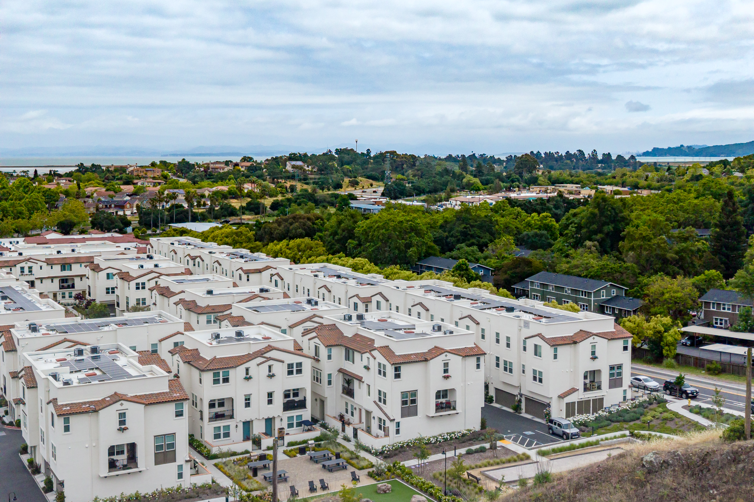  Designer Showcase Home in Novato - 物件實景