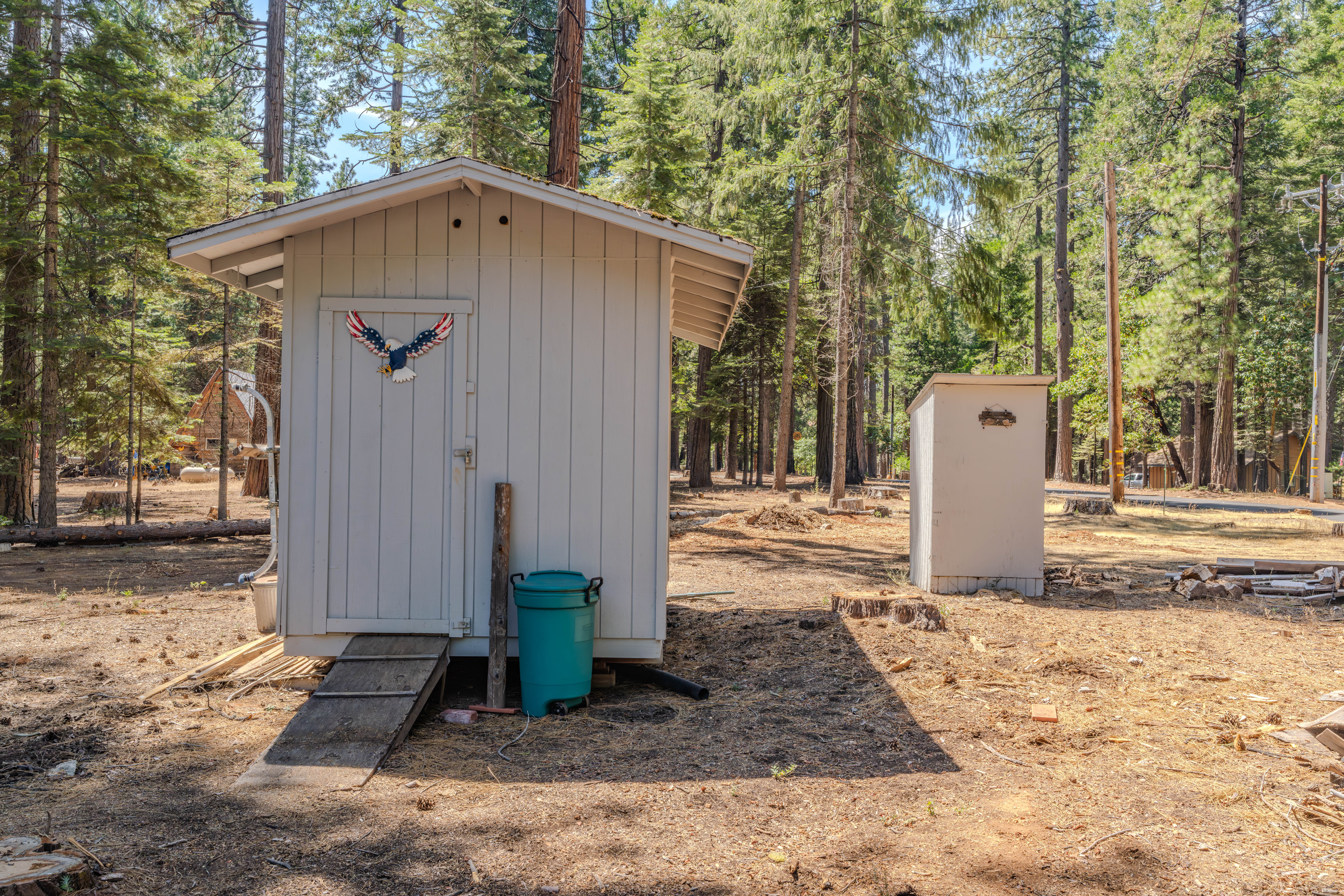  27144 Woodland Road, Pioneer, CA 95666 - 物件實景