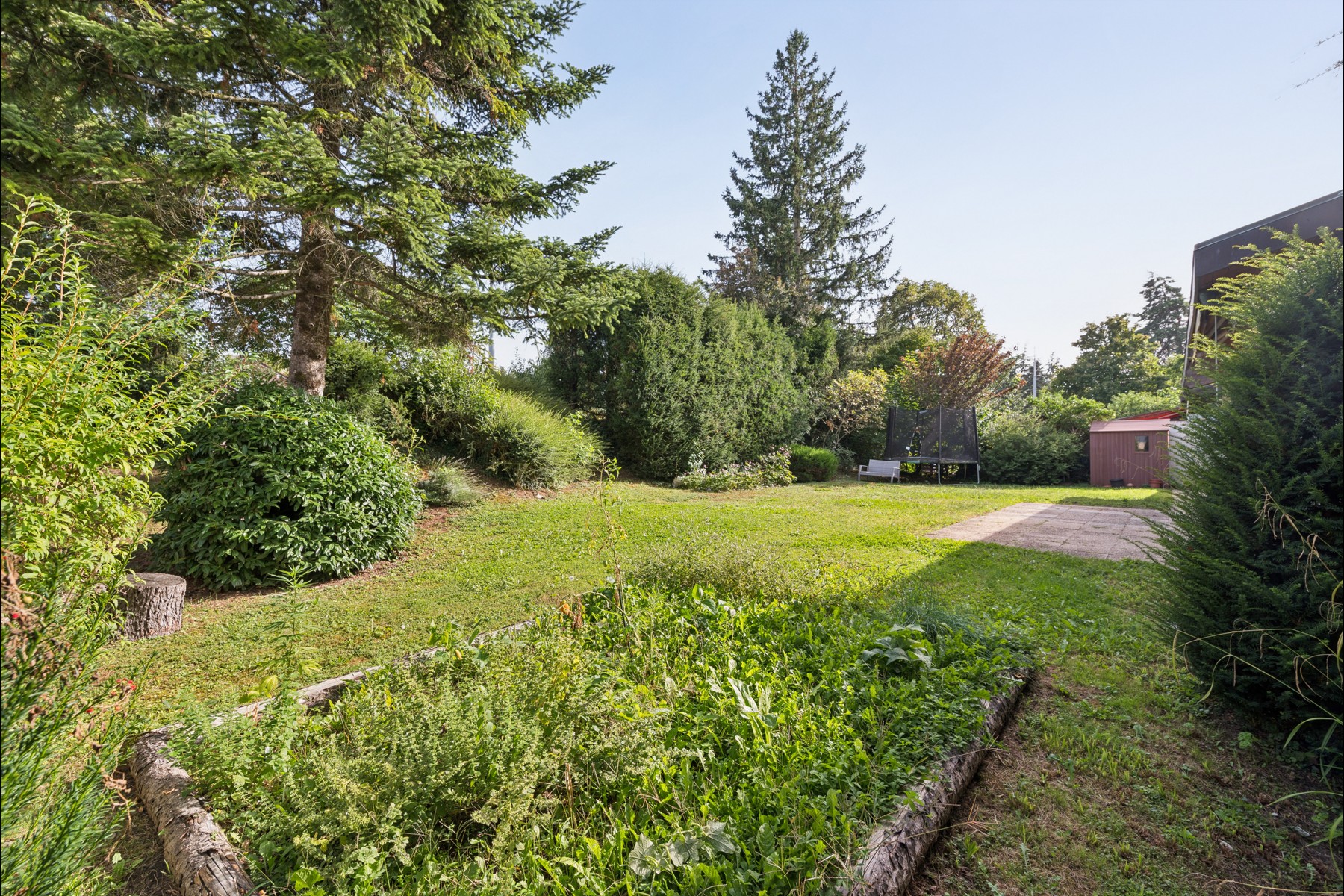  Single-story villa with a garden in need of renovation - 物件實景