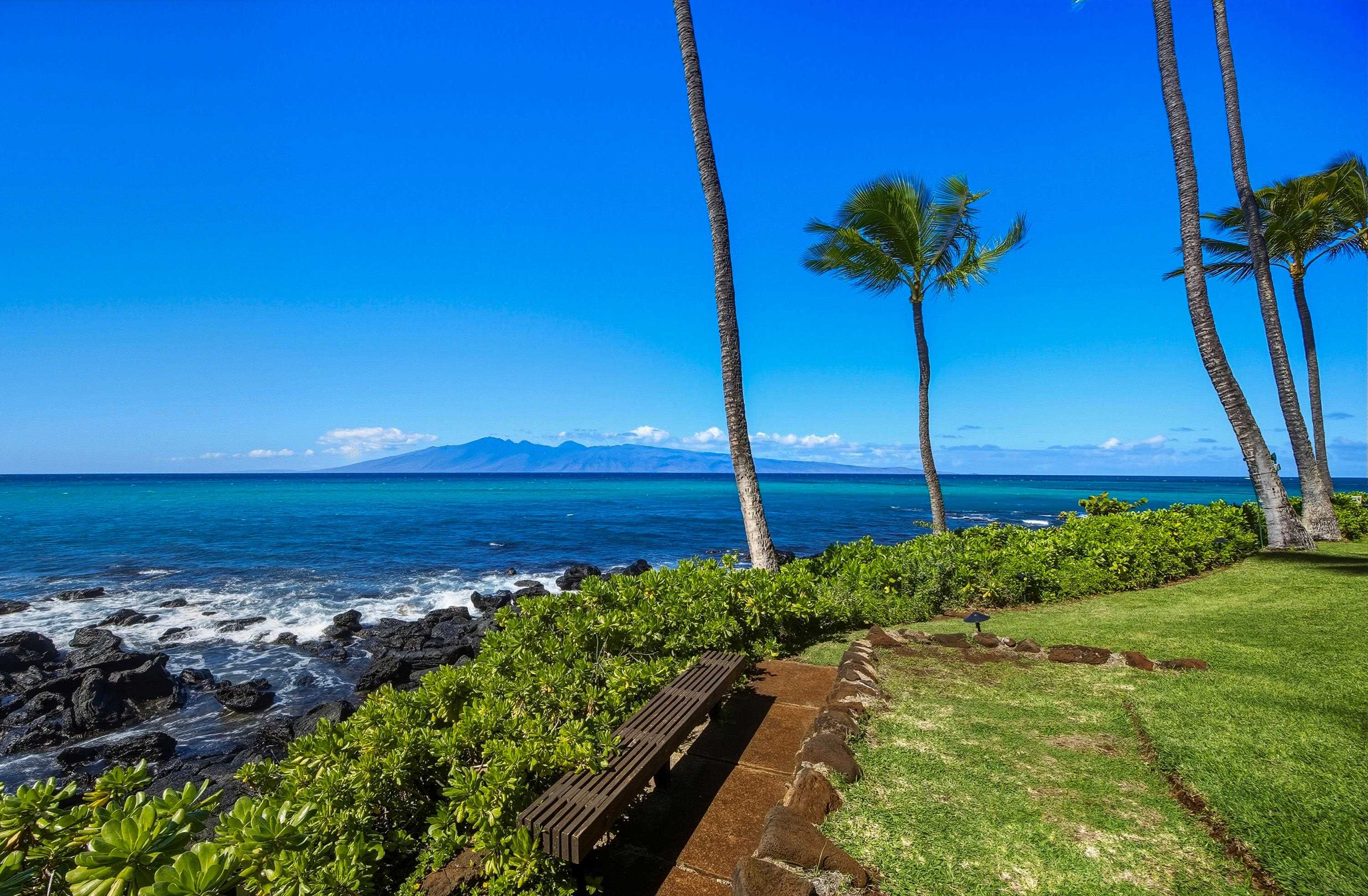 Lahaina, Hawaii, 96761, United States, 1 Bedroom Bedrooms, ,1 BathroomBathrooms,Residential,For Sale,1995975