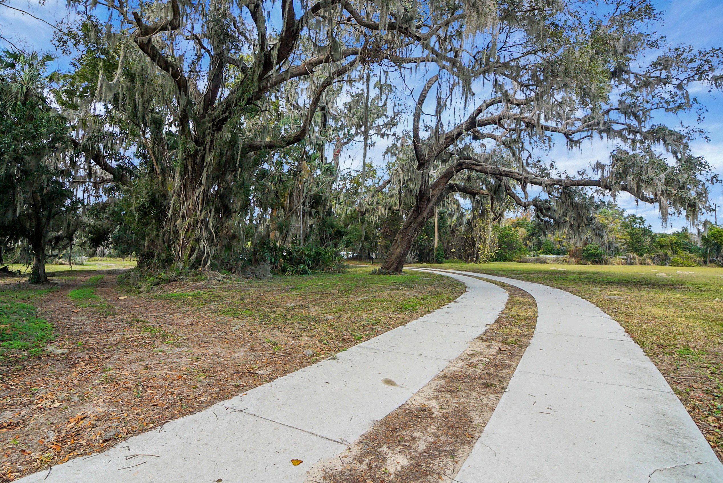 Yalaha, Florida, 34797, United States, 5 Bedrooms Bedrooms, ,4 BathroomsBathrooms,Residential,For Sale,1975837
