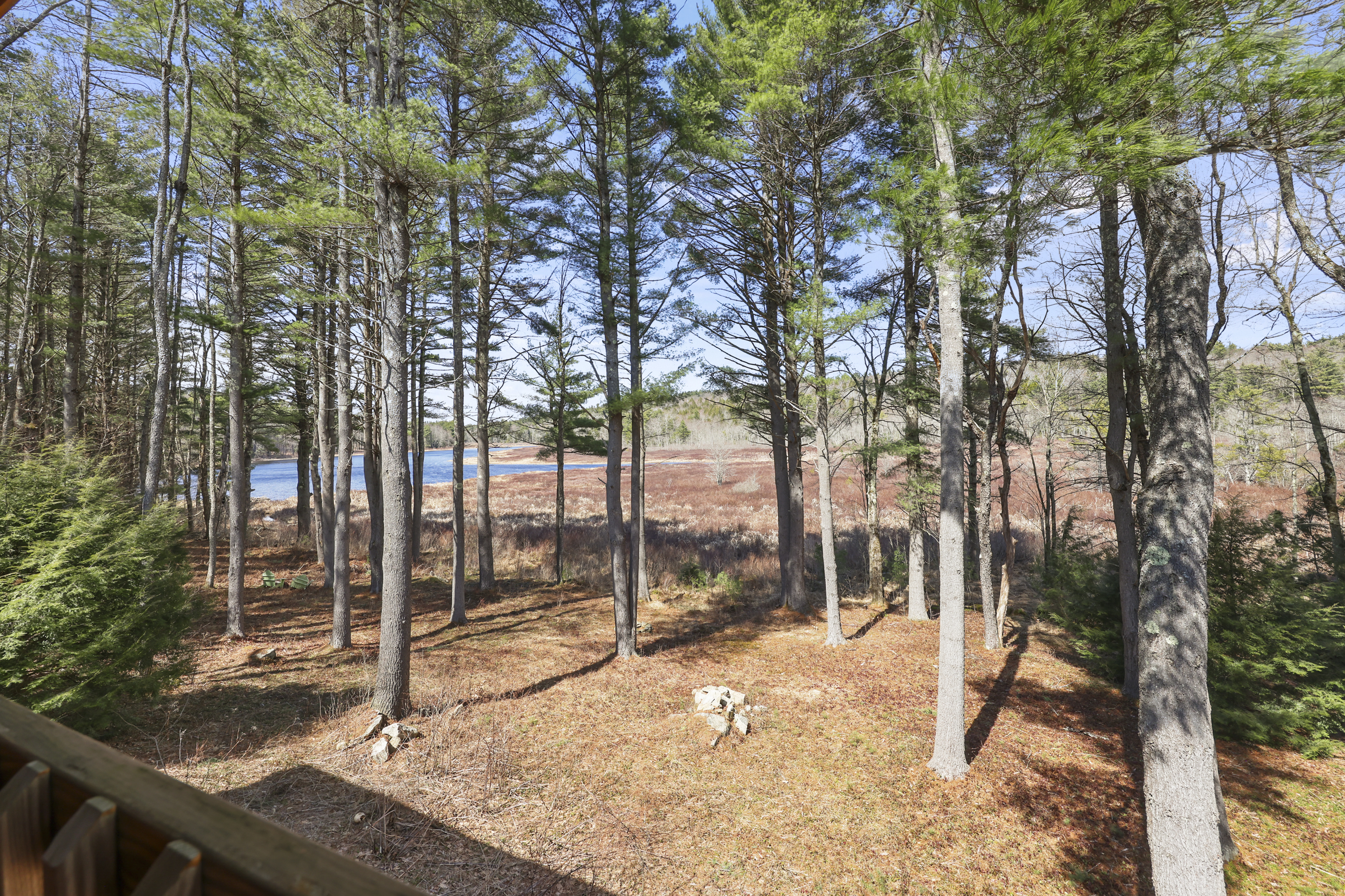  Berkshires Log Home Retreat with Wildlife Pond & Guest Apartment - 物件實景