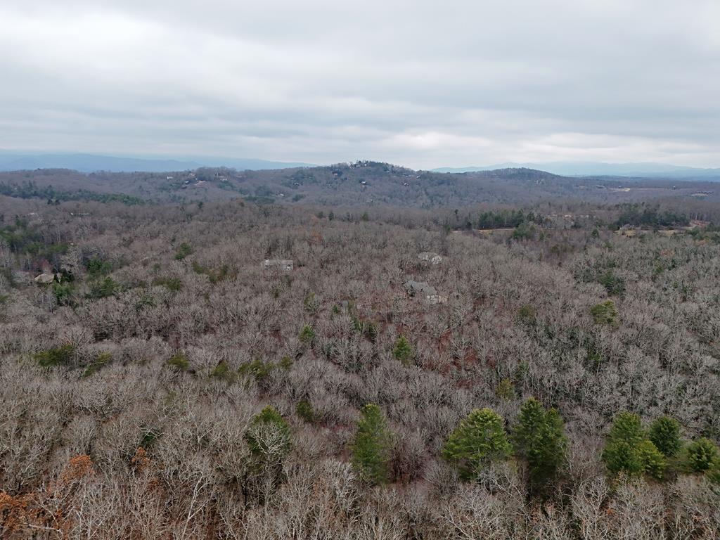 Blue Ridge, Georgia, 30513, United States, ,Land,For Sale,1859049