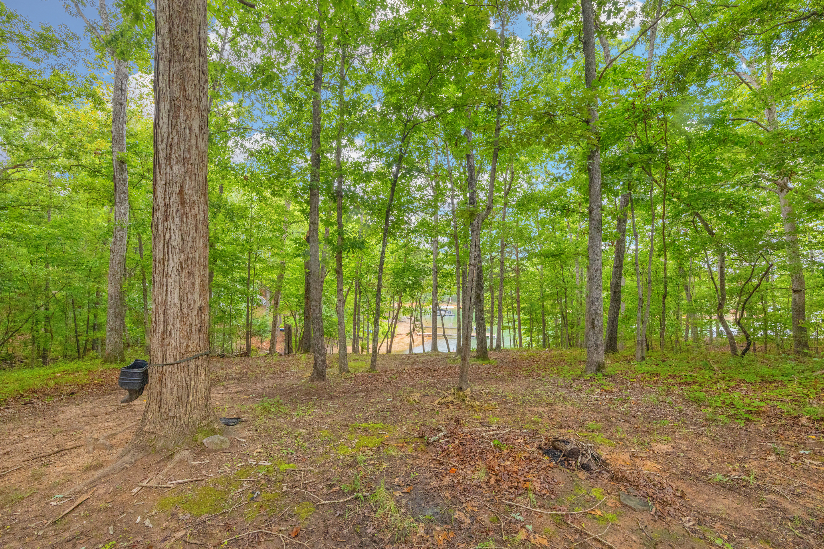 Hartwell, Georgia, 30643, United States, 2 Bedrooms Bedrooms, ,1 BathroomBathrooms,Residential,For Sale,1908192