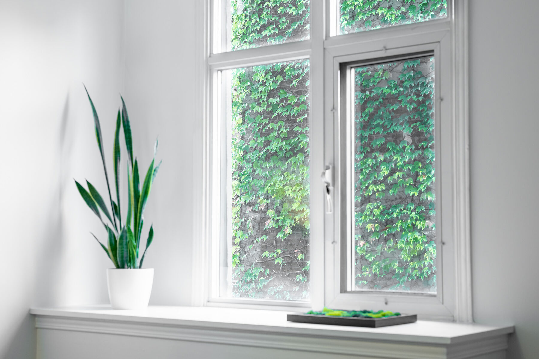  Urban Downtown Living - 物件實景