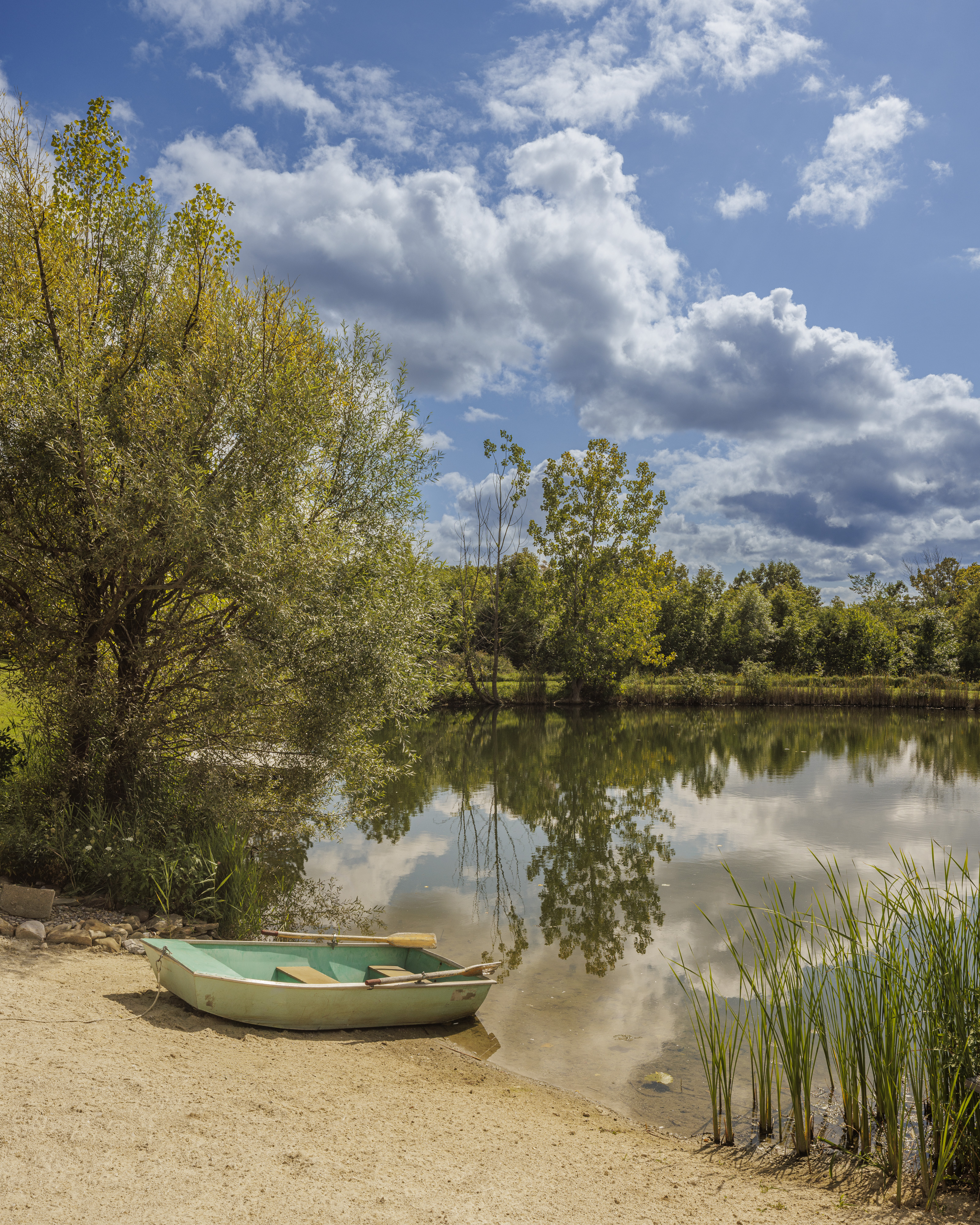  351 Warners Lake Road, East Berne, NY 12059 - 物件實景