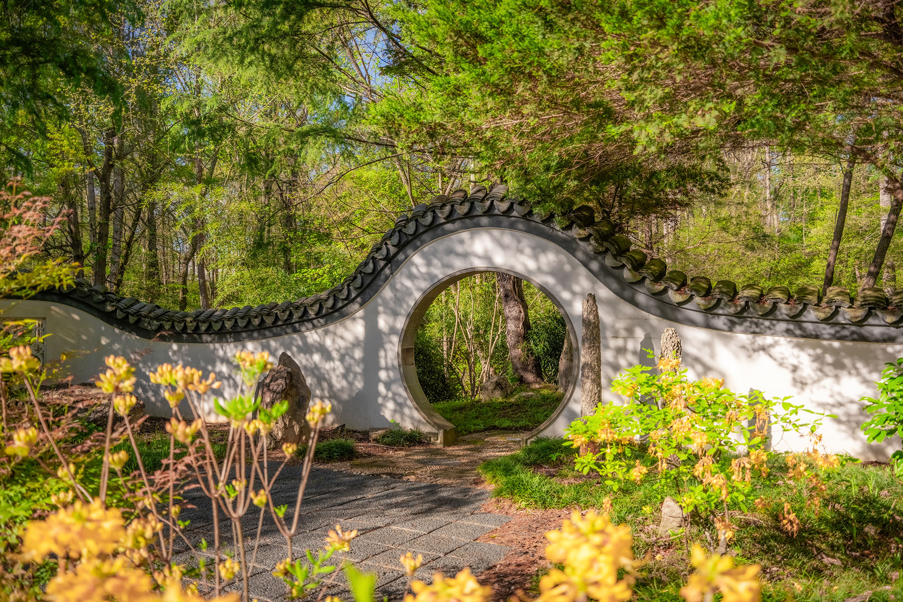 SPARTANBURG - 物件實景