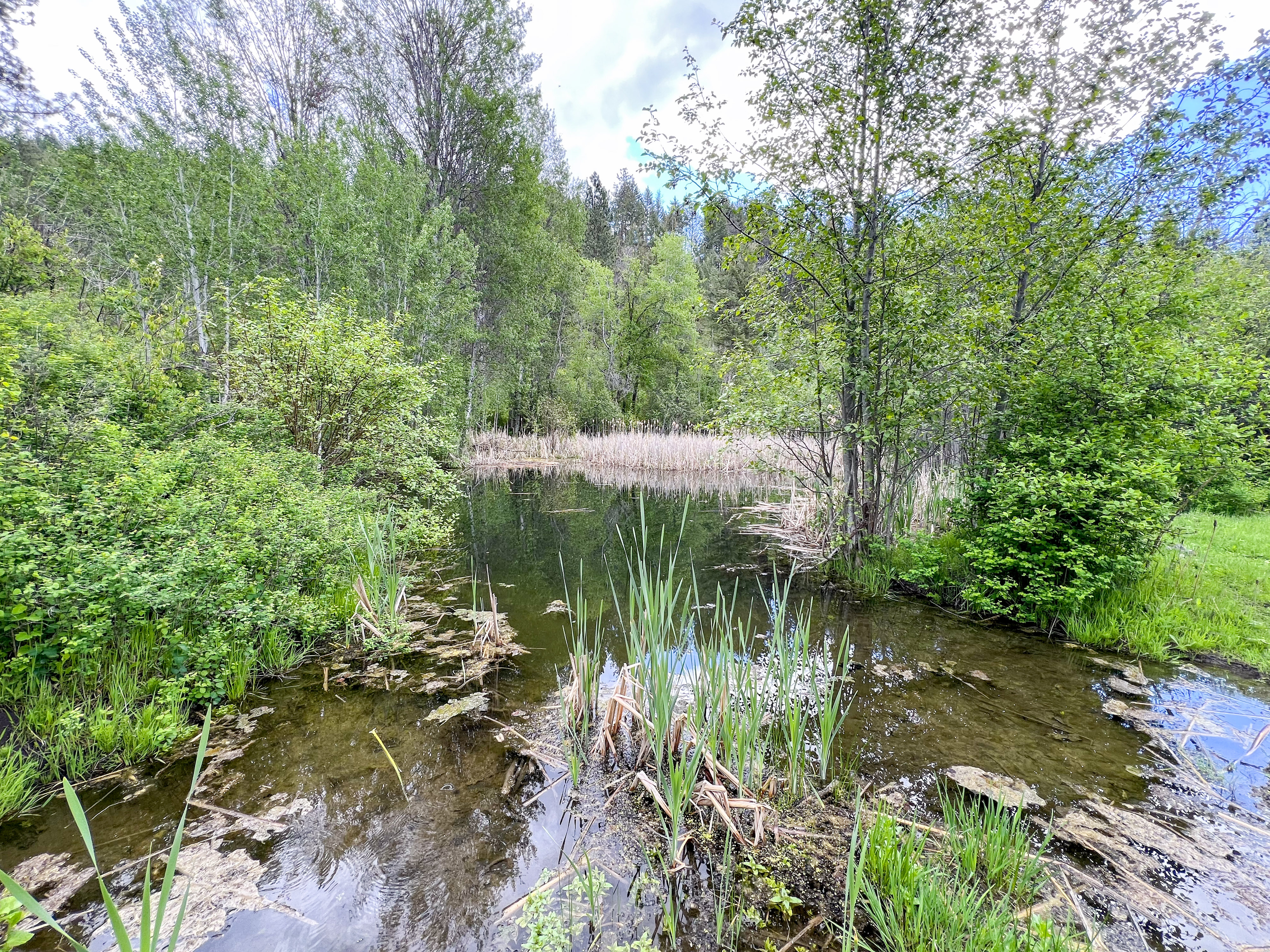 Kettle Falls, Washington, 99141, United States, 3 Bedrooms Bedrooms, ,2 BathroomsBathrooms,Residential,For Sale,1985709