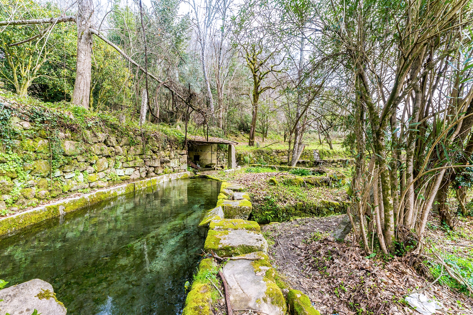  Farm for Sale - 物件實景