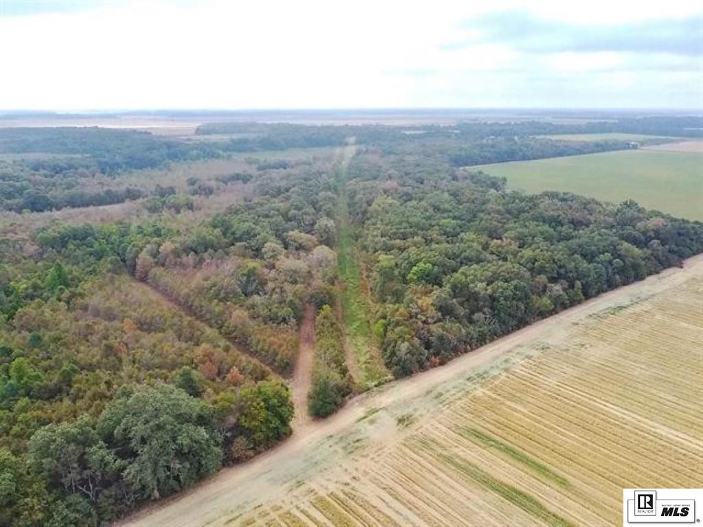 491 FORTENBERRY ROAD, Rayville, Louisiana, 71269, United States, ,Land,For Sale,491 FORTENBERRY ROAD,1683362