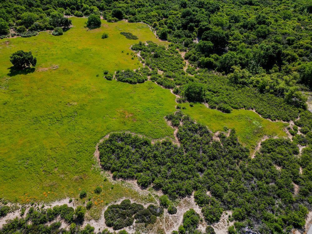 Greenfield, California, 93927, United States, ,Residential,For Sale,1943227