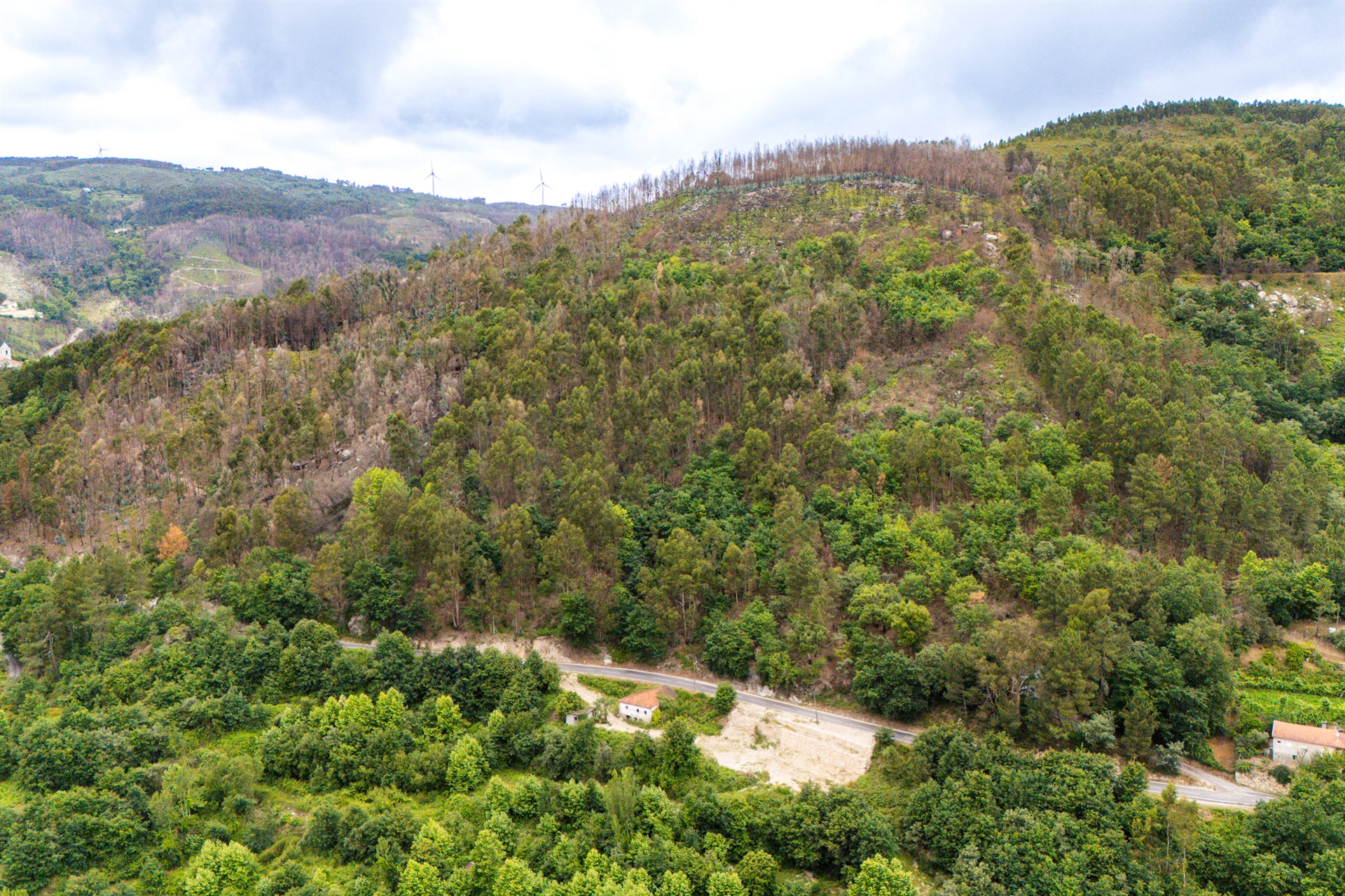  Farm, 3 bedrooms, for Sale - 物件實景