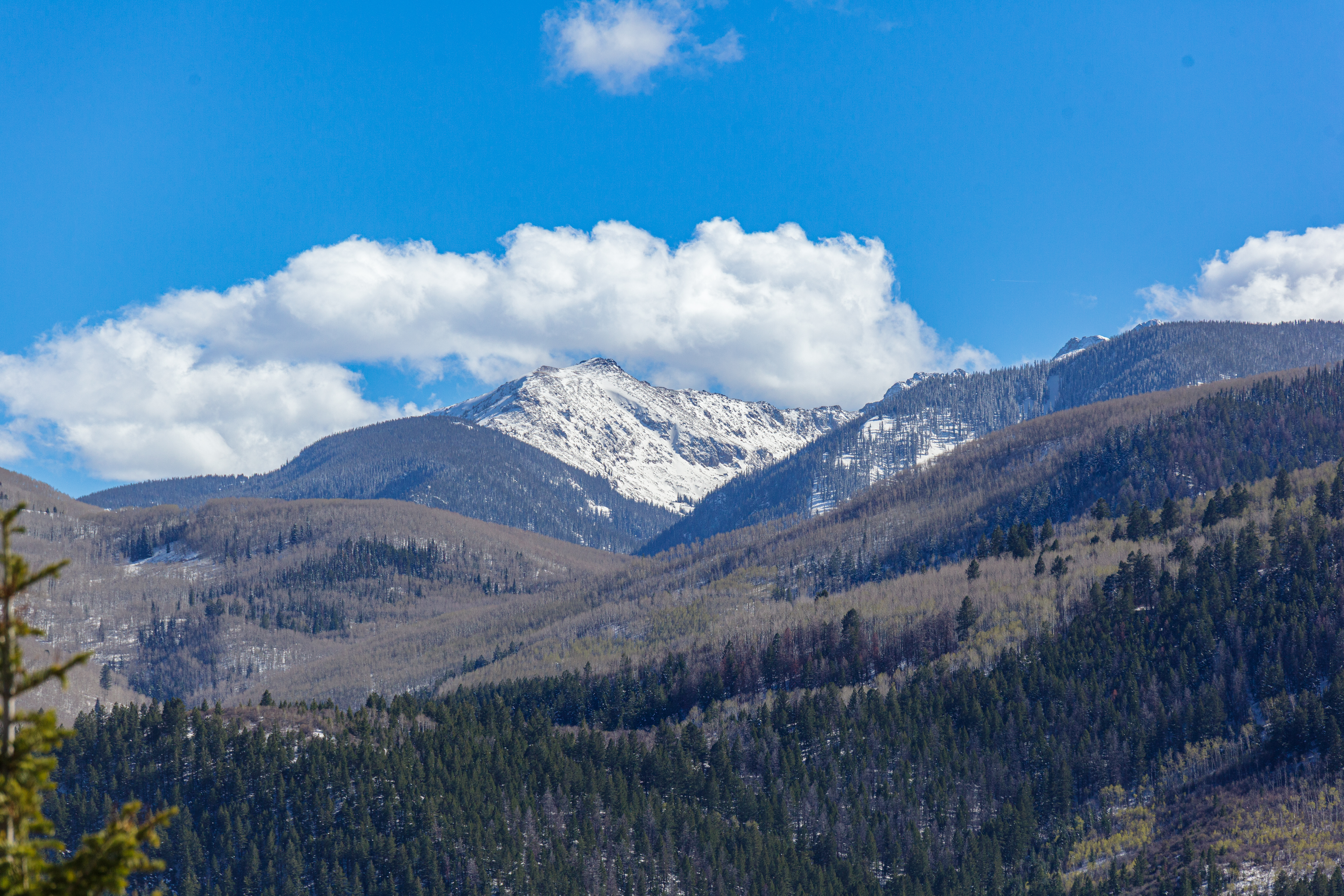  Contemporary Mountain Living - 物件實景