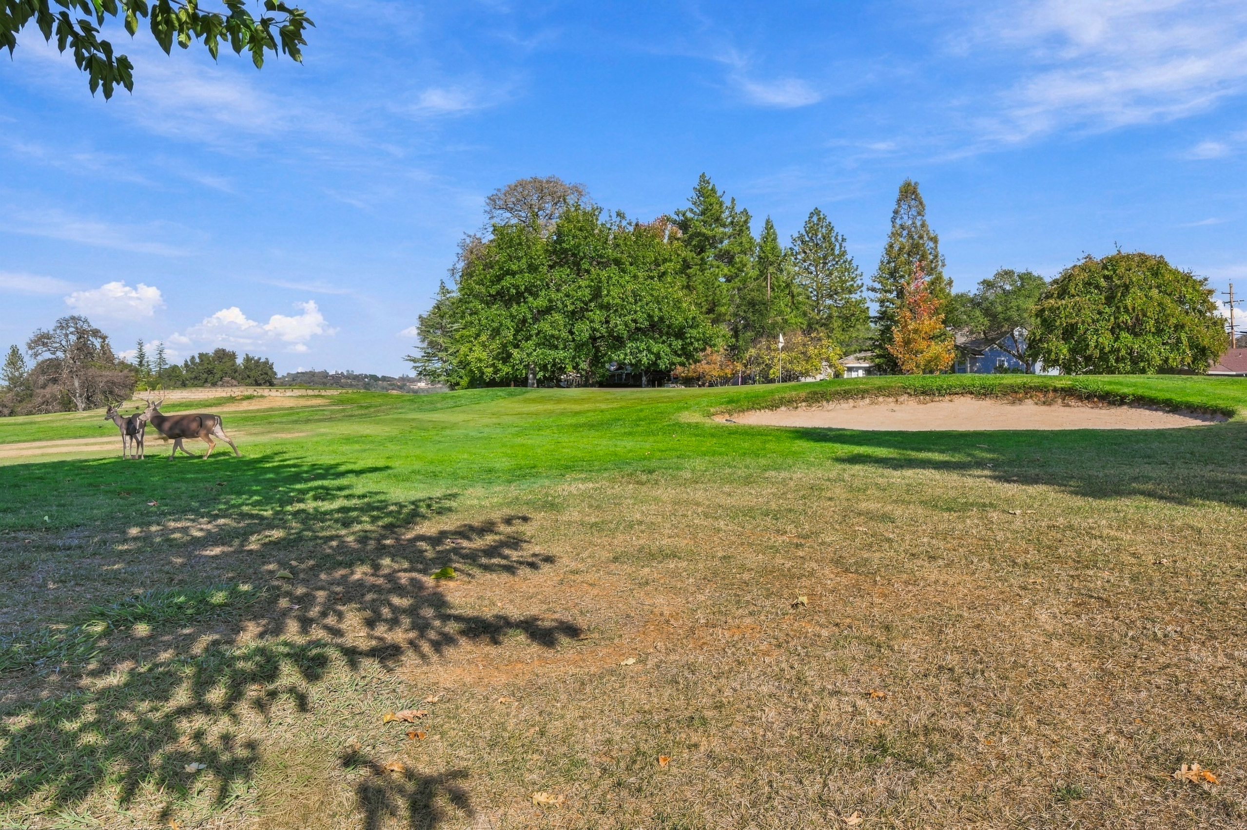  24718 Oro Valley Road, Auburn, CA 95602 - 物件實景
