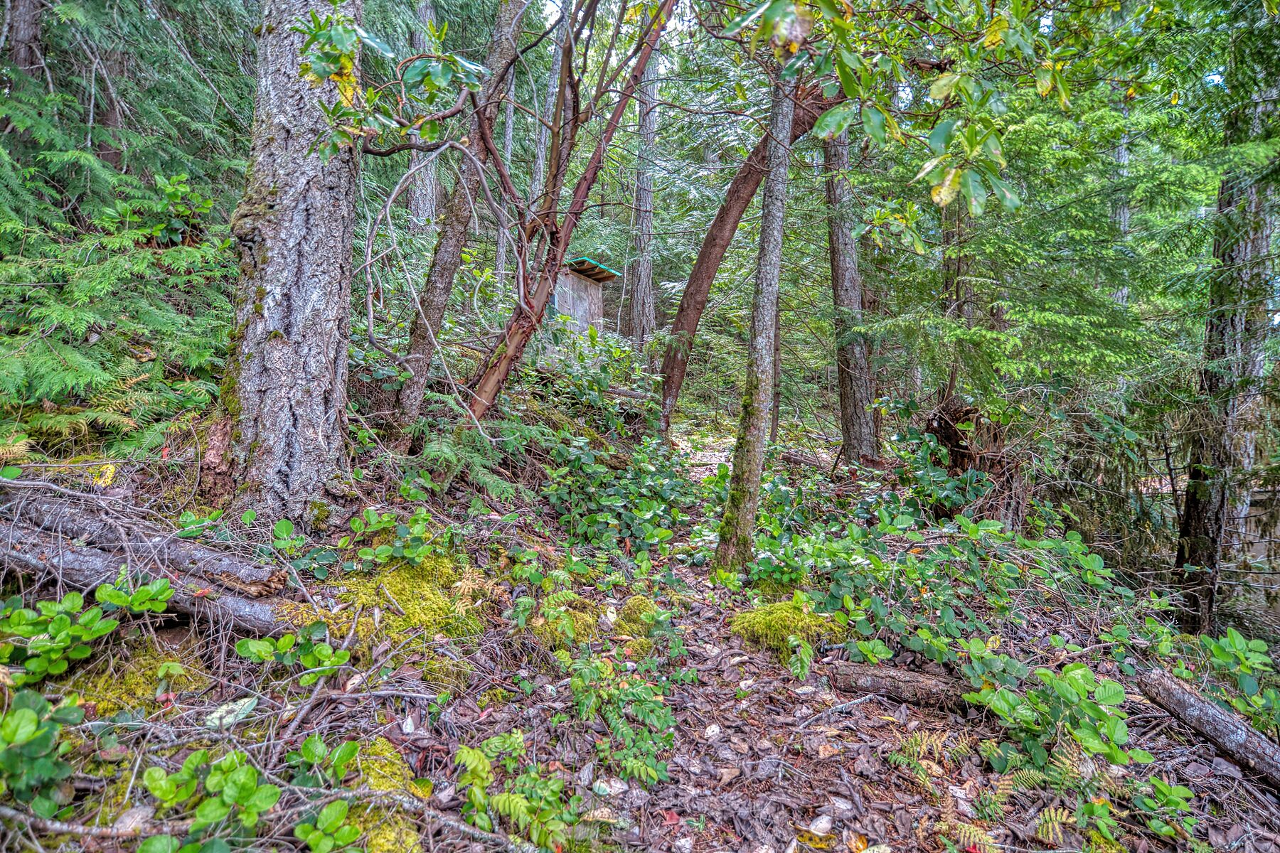  Sechelt, Sunshine Coast - 物件實景
