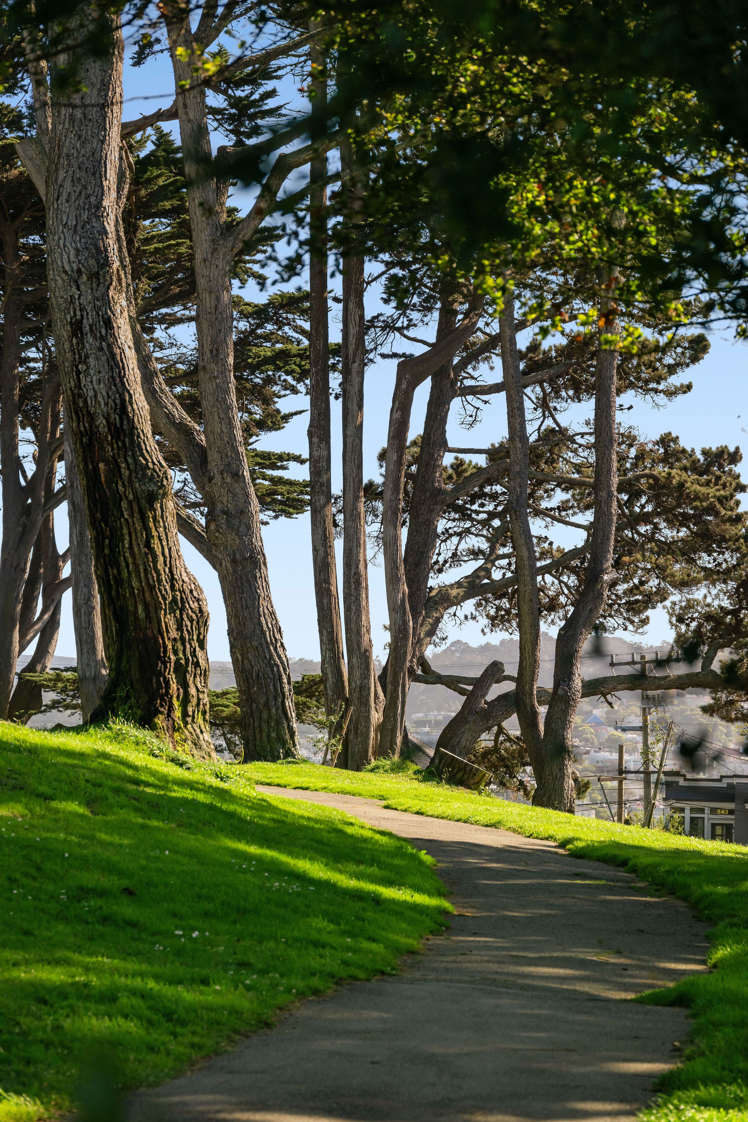  Bernal Heights View Home - 物件實景